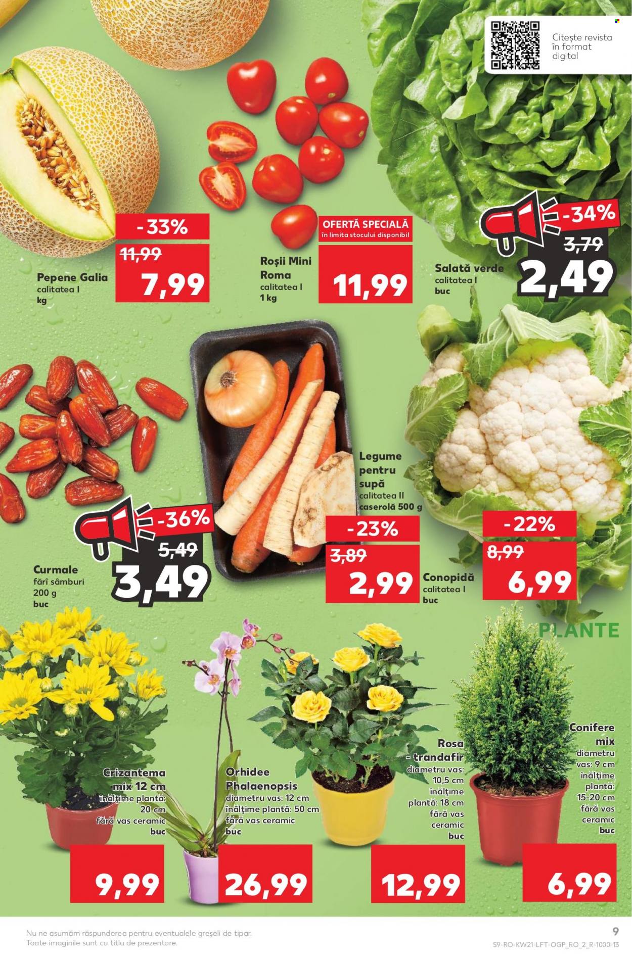 Catalog Kaufland - 25.05.2022 - 31.05.2022. Pagina 9