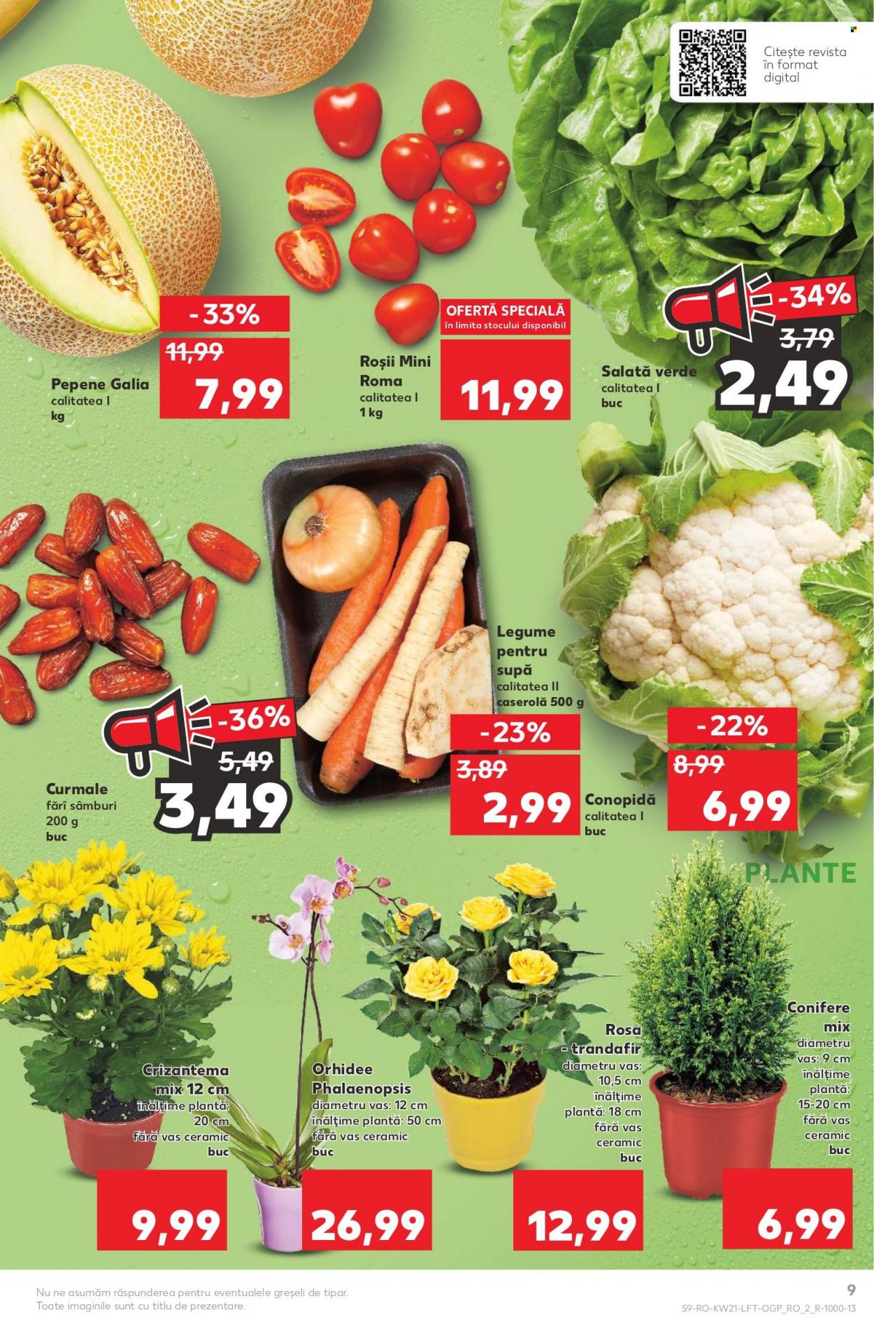 thumbnail - Cataloage Kaufland - 25.05.2022 - 31.05.2022 - Produse în vânzare - salată, rosii cherry, conopidă, roșie, pepene. Pagina 9.