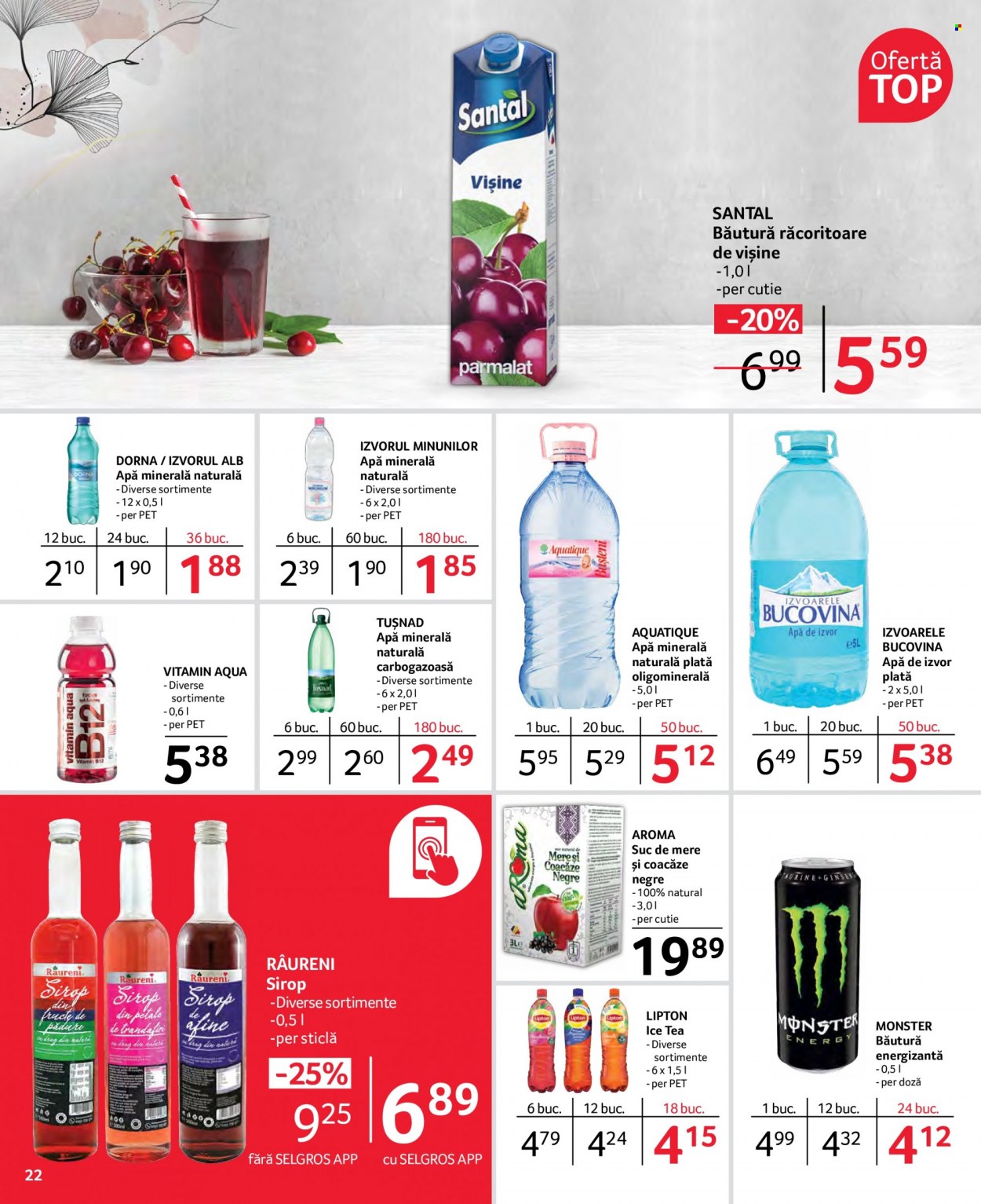 Catalog Selgros - 27.05.2022 - 09.06.2022. Pagina 22