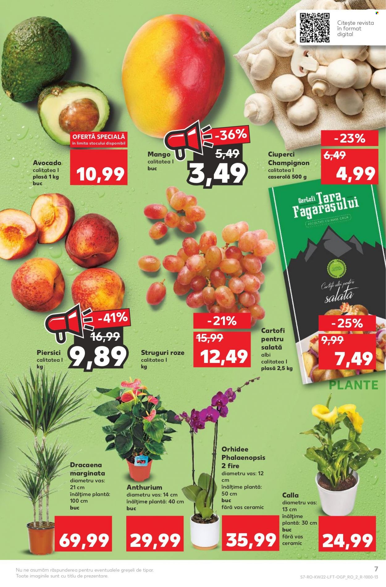 Catalog Kaufland - 01.06.2022 - 07.06.2022. Pagina 7