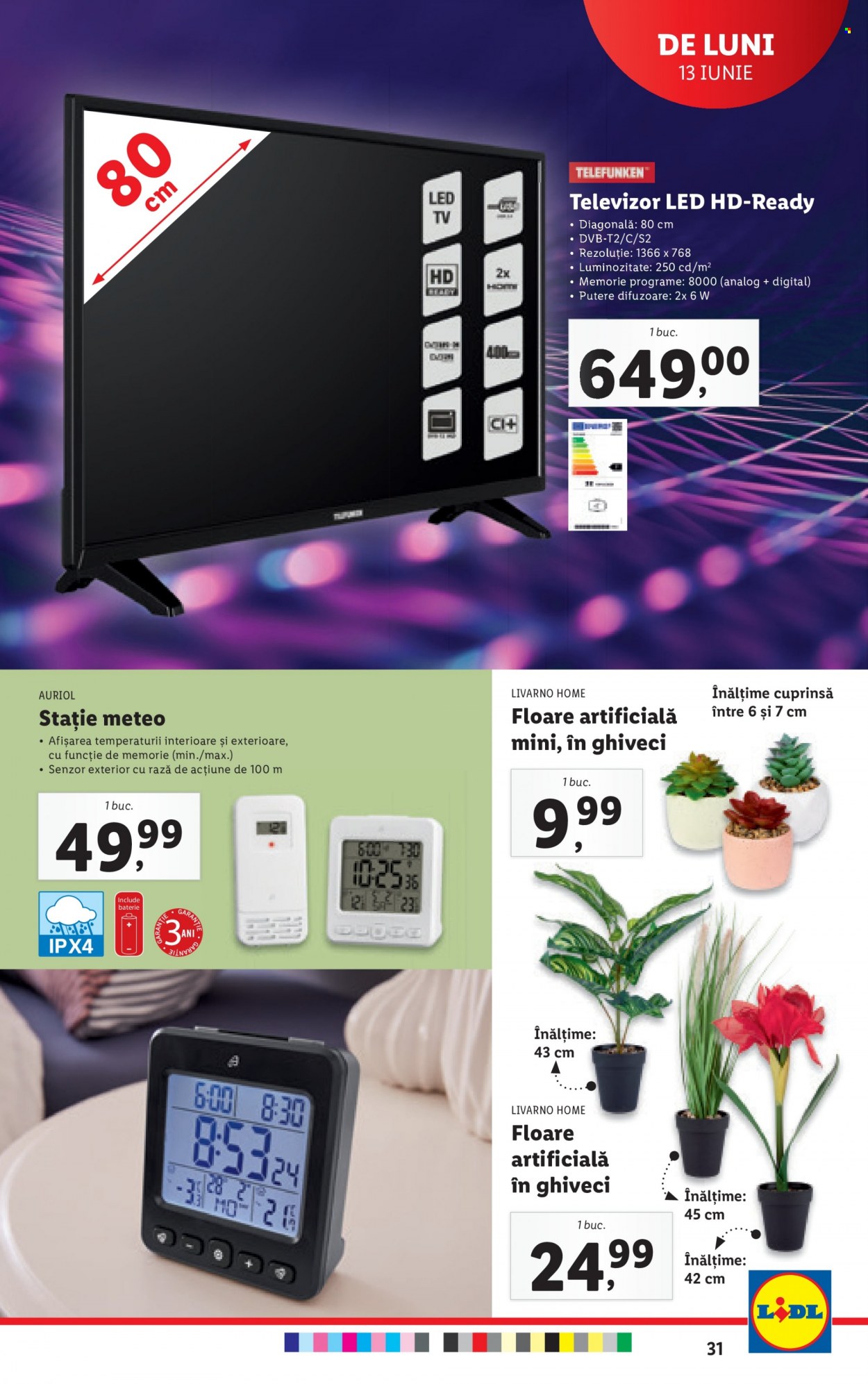 Catalog Lidl - 13.06.2022 - 19.06.2022. Pagina 31