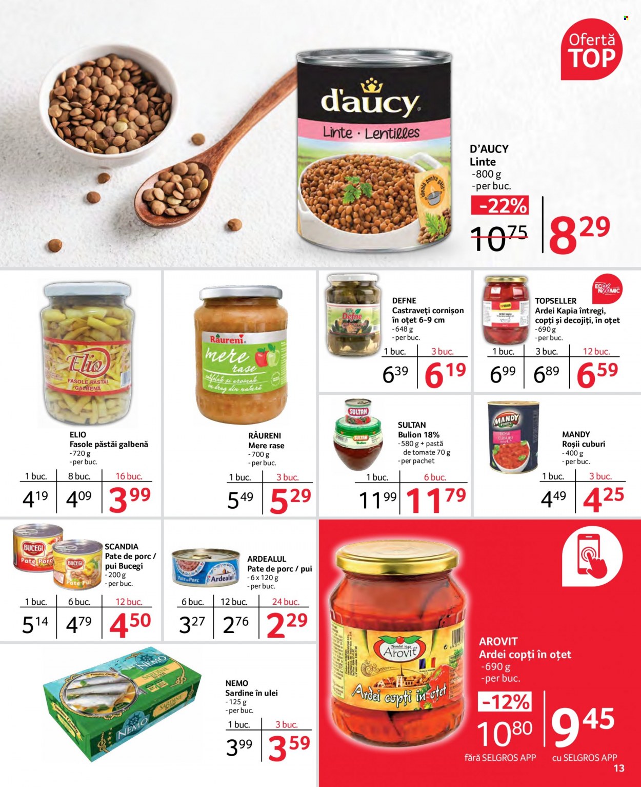 Catalog Selgros - 10.06.2022 - 23.06.2022. Pagina 13