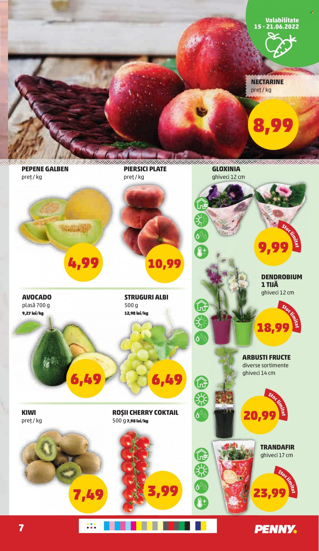 Catalog PENNY - 15.06.2022 - 21.06.2022. Pagina 7