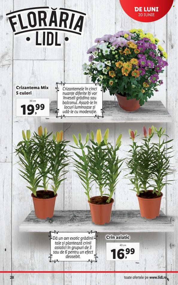 Catalog Lidl - 20.06.2022 - 26.06.2022. Pagina 28