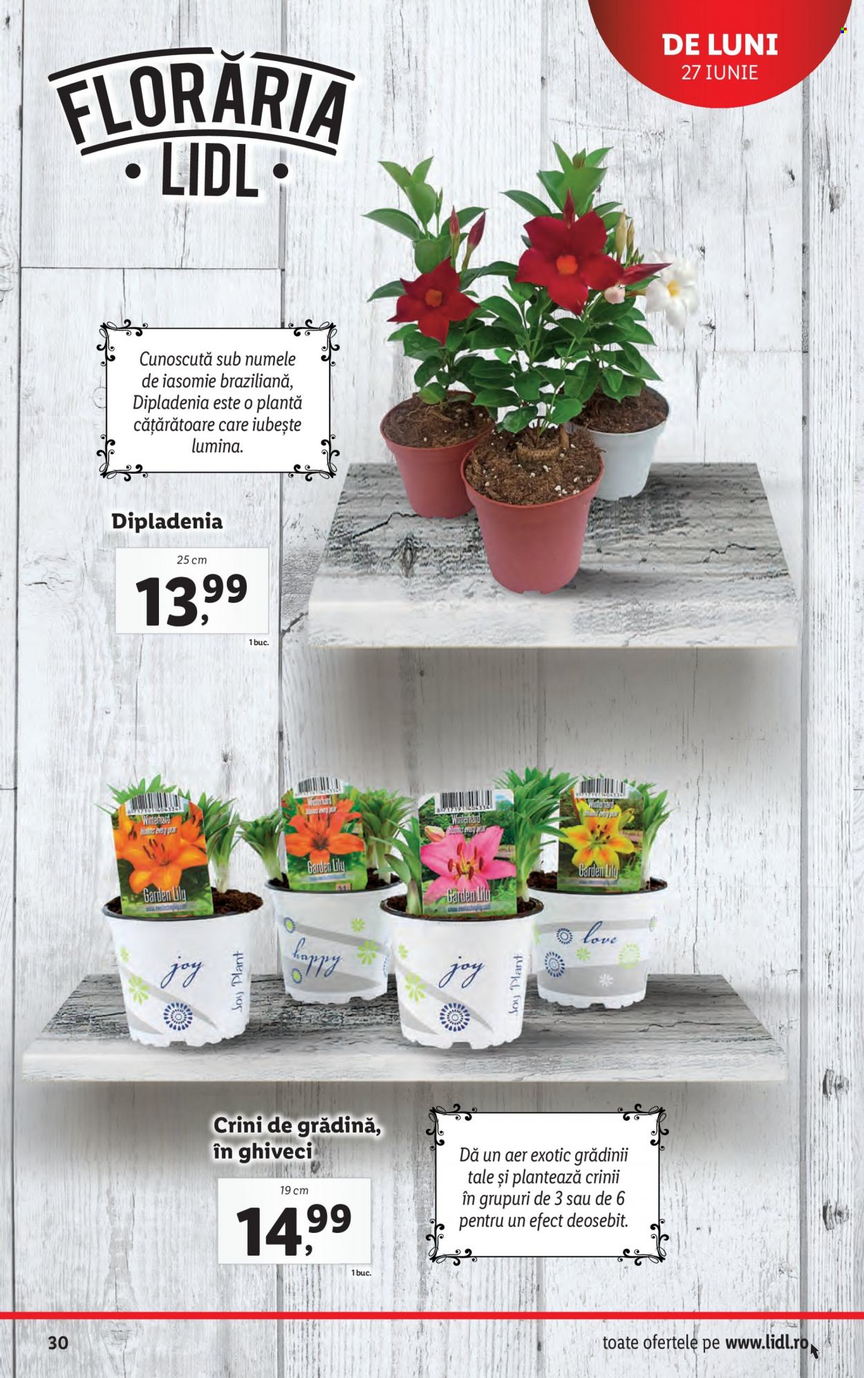 Catalog Lidl - 27.06.2022 - 03.07.2022. Pagina 30