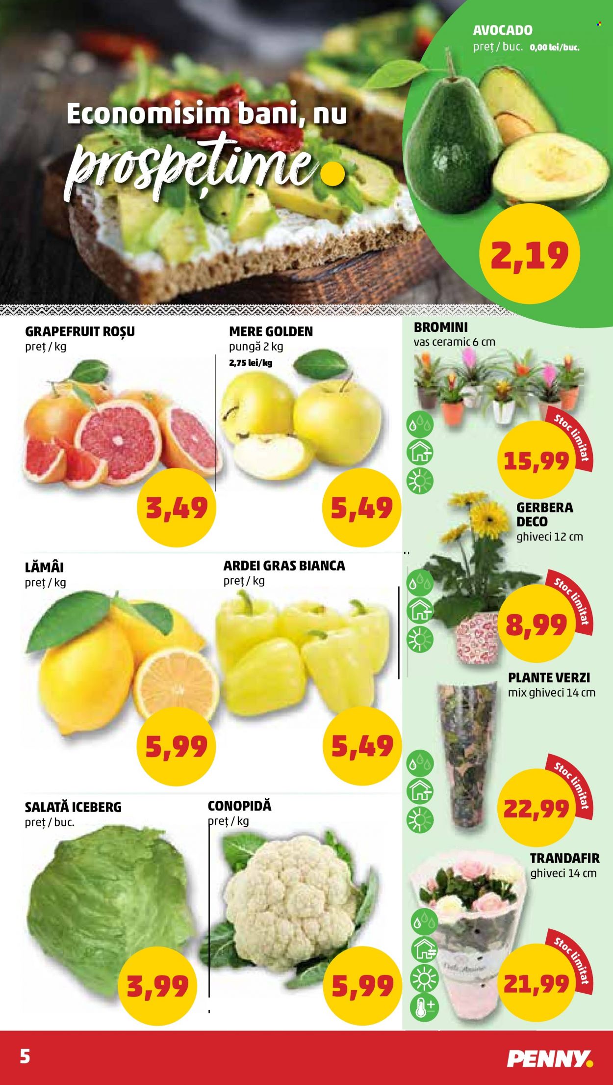 Catalog PENNY - 22.06.2022 - 28.06.2022. Pagina 5