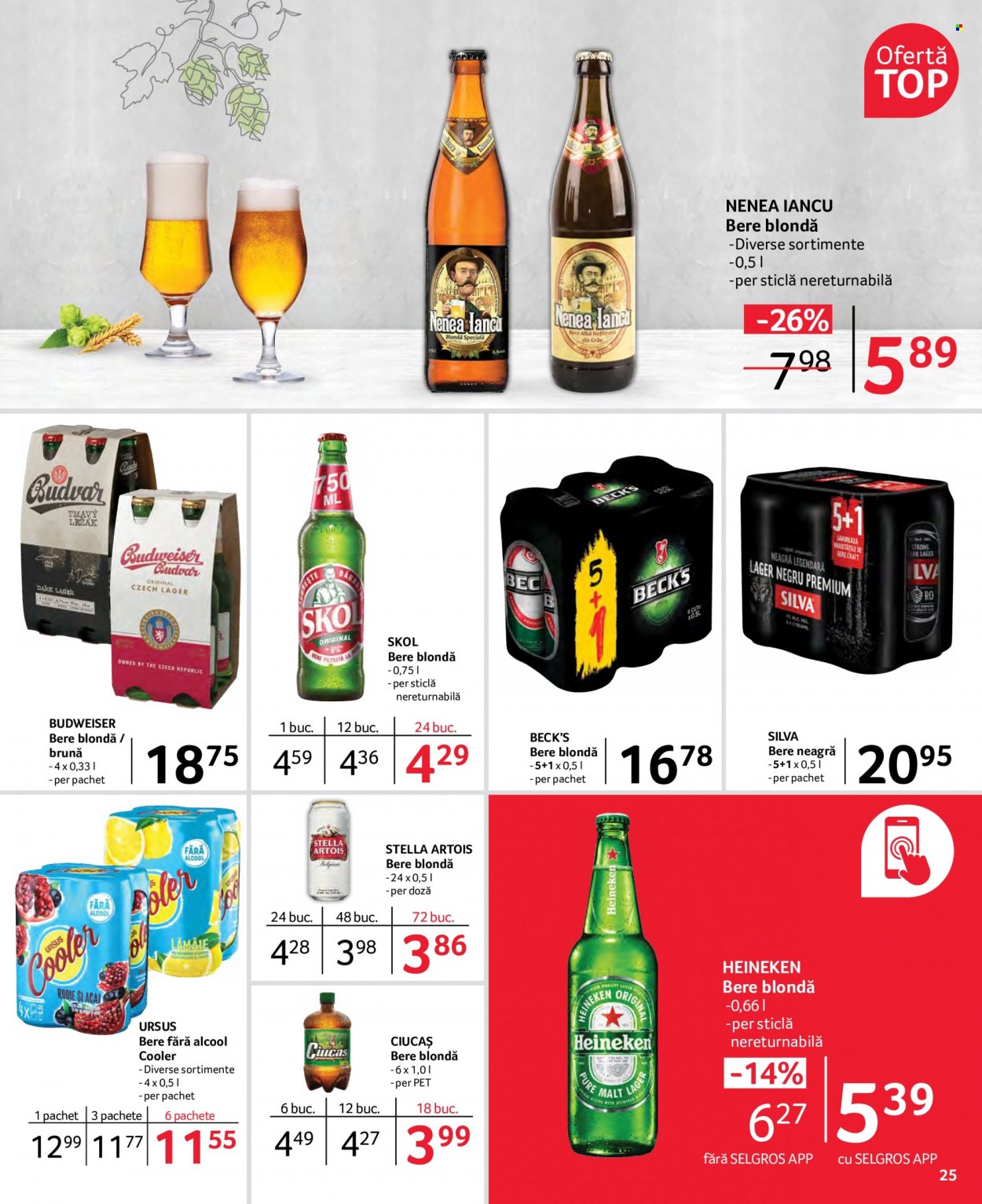 Catalog Selgros - 24.06.2022 - 07.07.2022. Pagina 25