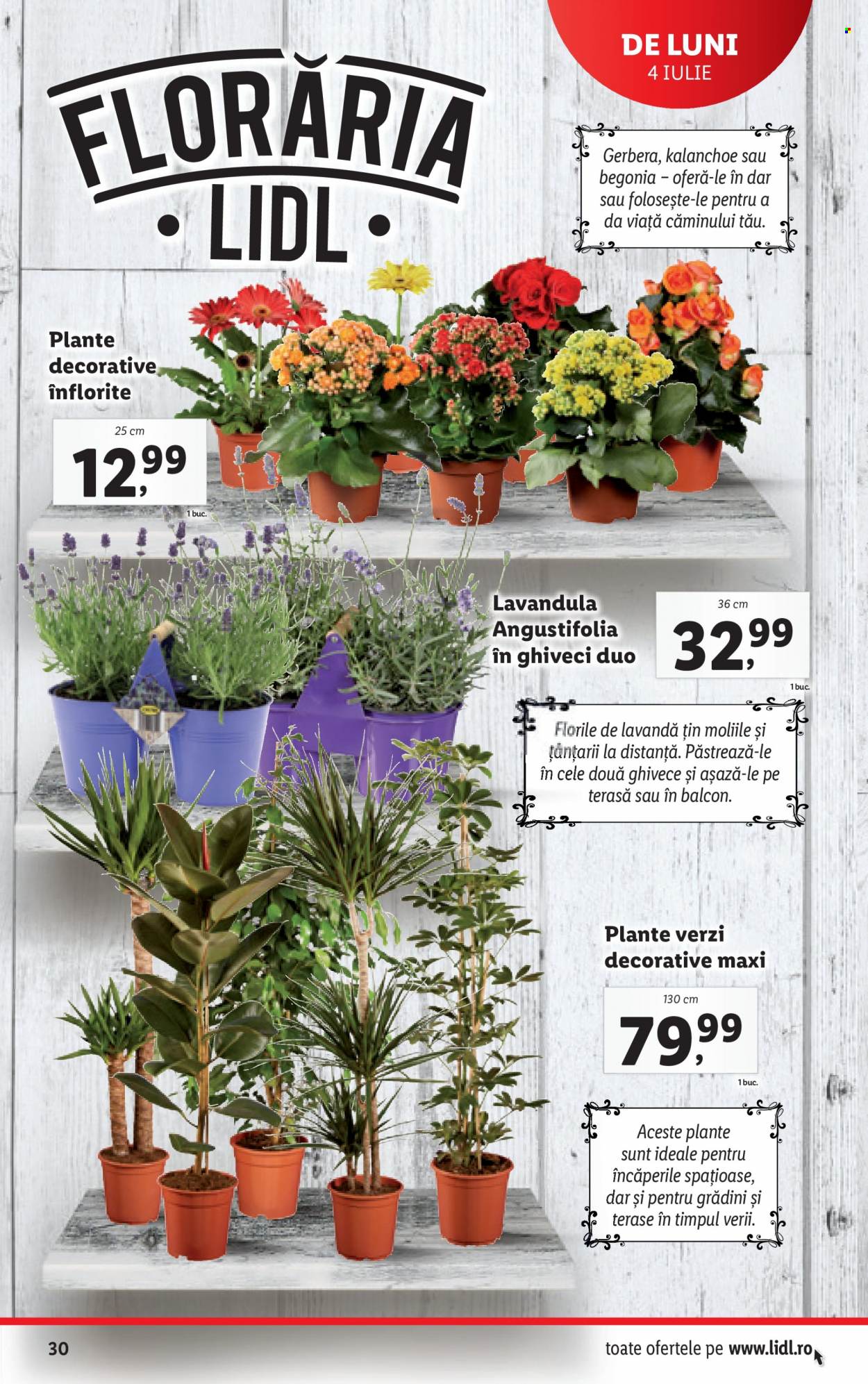 Catalog Lidl - 04.07.2022 - 10.07.2022. Pagina 30