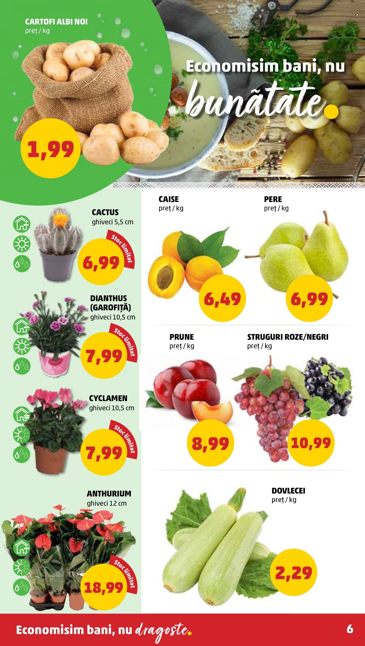 Catalog PENNY - 29.06.2022 - 05.07.2022. Pagina 6