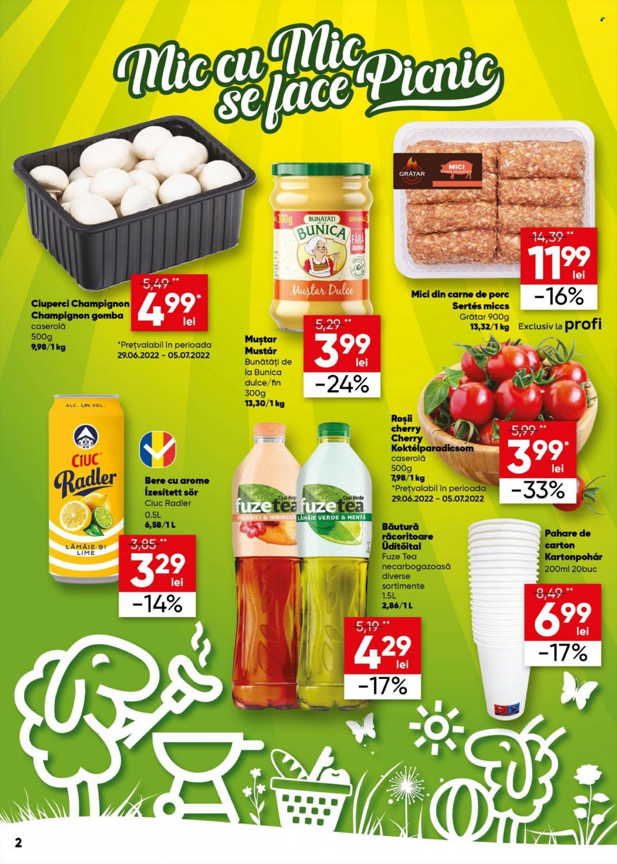 Catalog Profi Loco - 29.06.2022 - 12.07.2022. Pagina 2