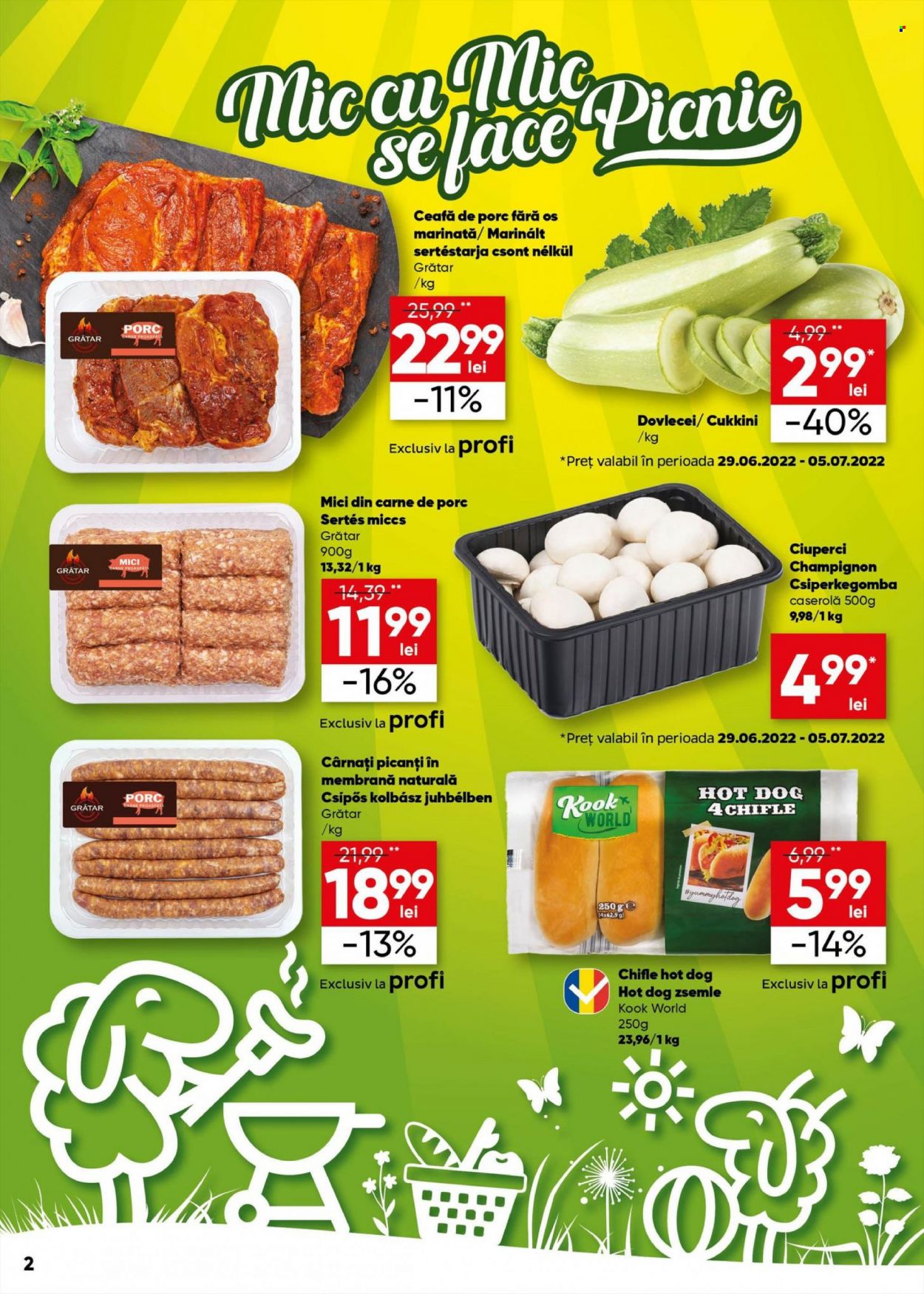 Catalog Profi - 29.06.2022 - 12.07.2022. Pagina 2