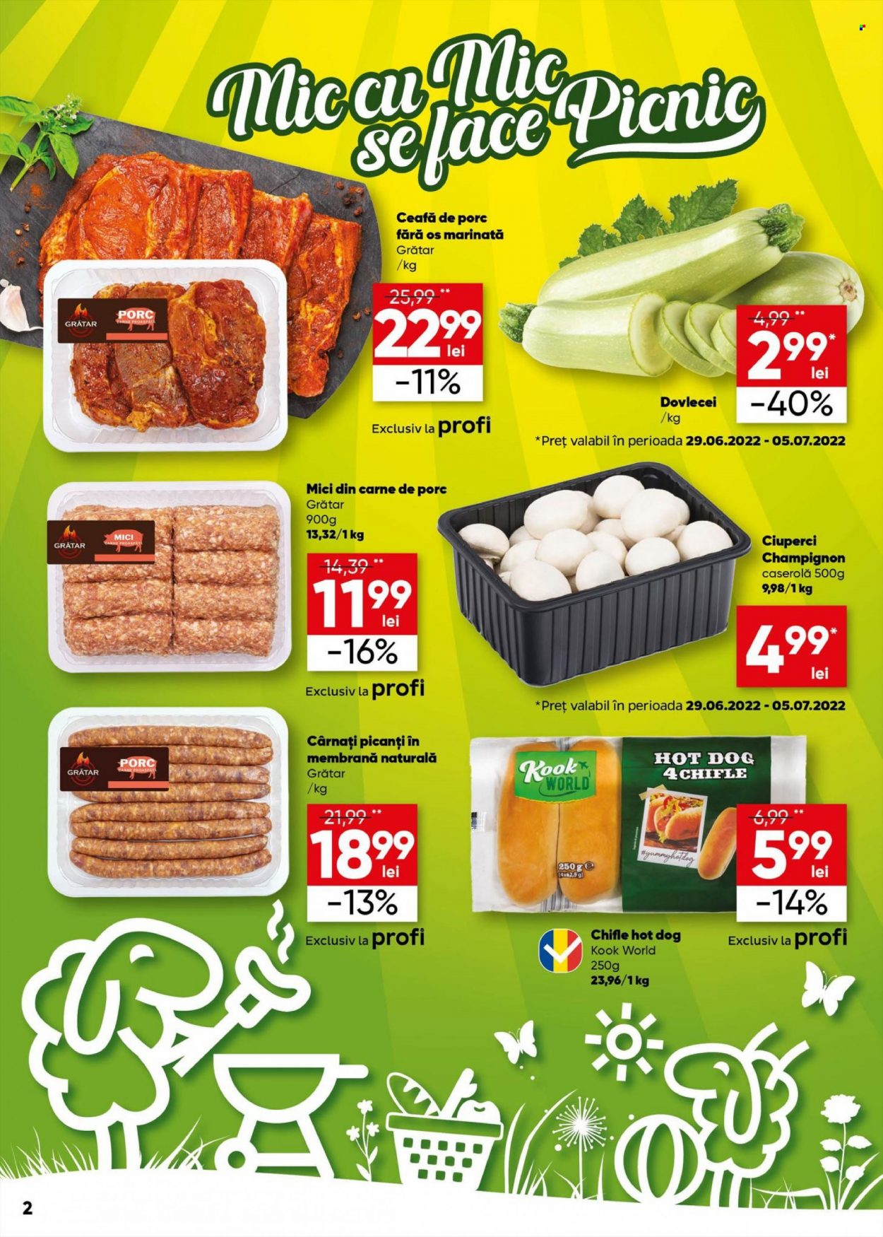 Catalog Profi - 29.06.2022 - 12.07.2022. Pagina 2
