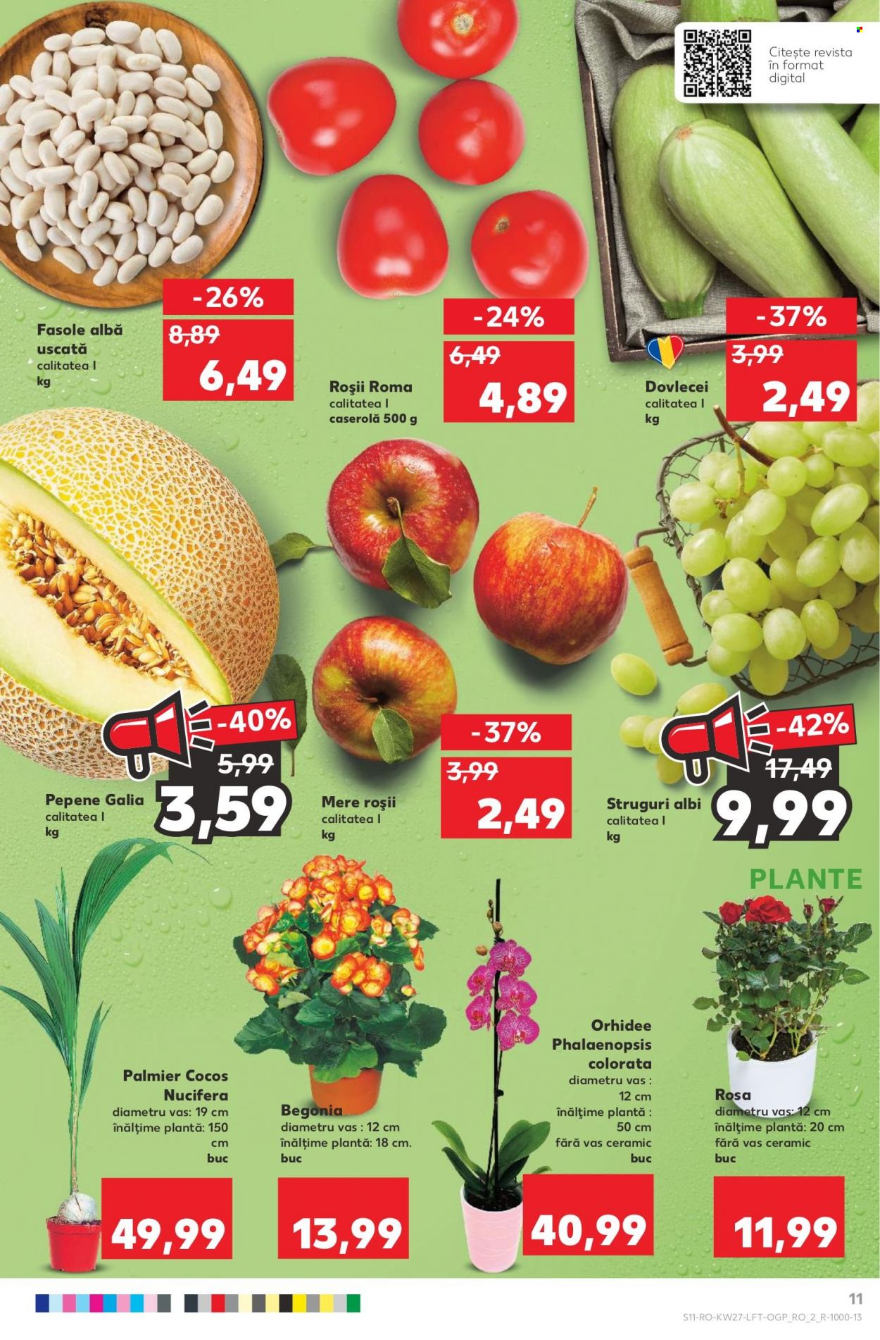 Catalog Kaufland - 06.07.2022 - 12.07.2022. Pagina 11