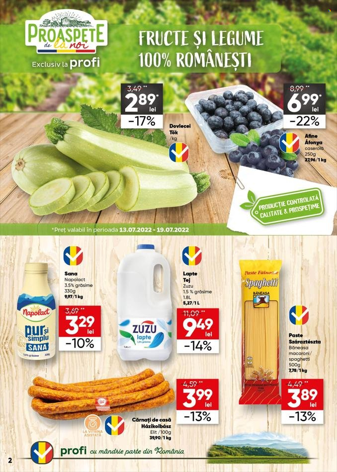 Catalog Profi Loco - 13.07.2022 - 26.07.2022. Pagina 2