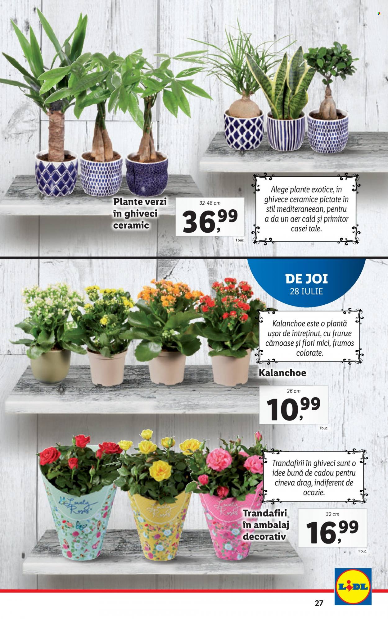 Catalog Lidl - 25.07.2022 - 31.07.2022. Pagina 27