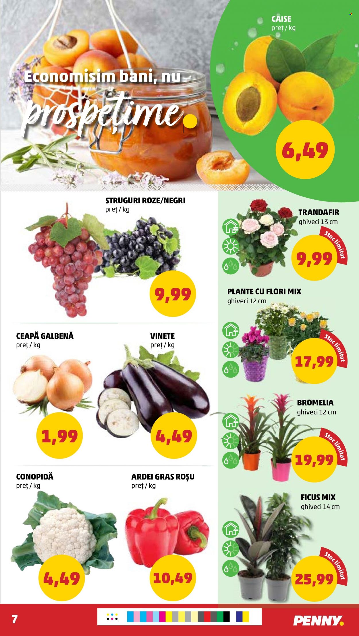 Catalog PENNY - 20.07.2022 - 26.07.2022. Pagina 7