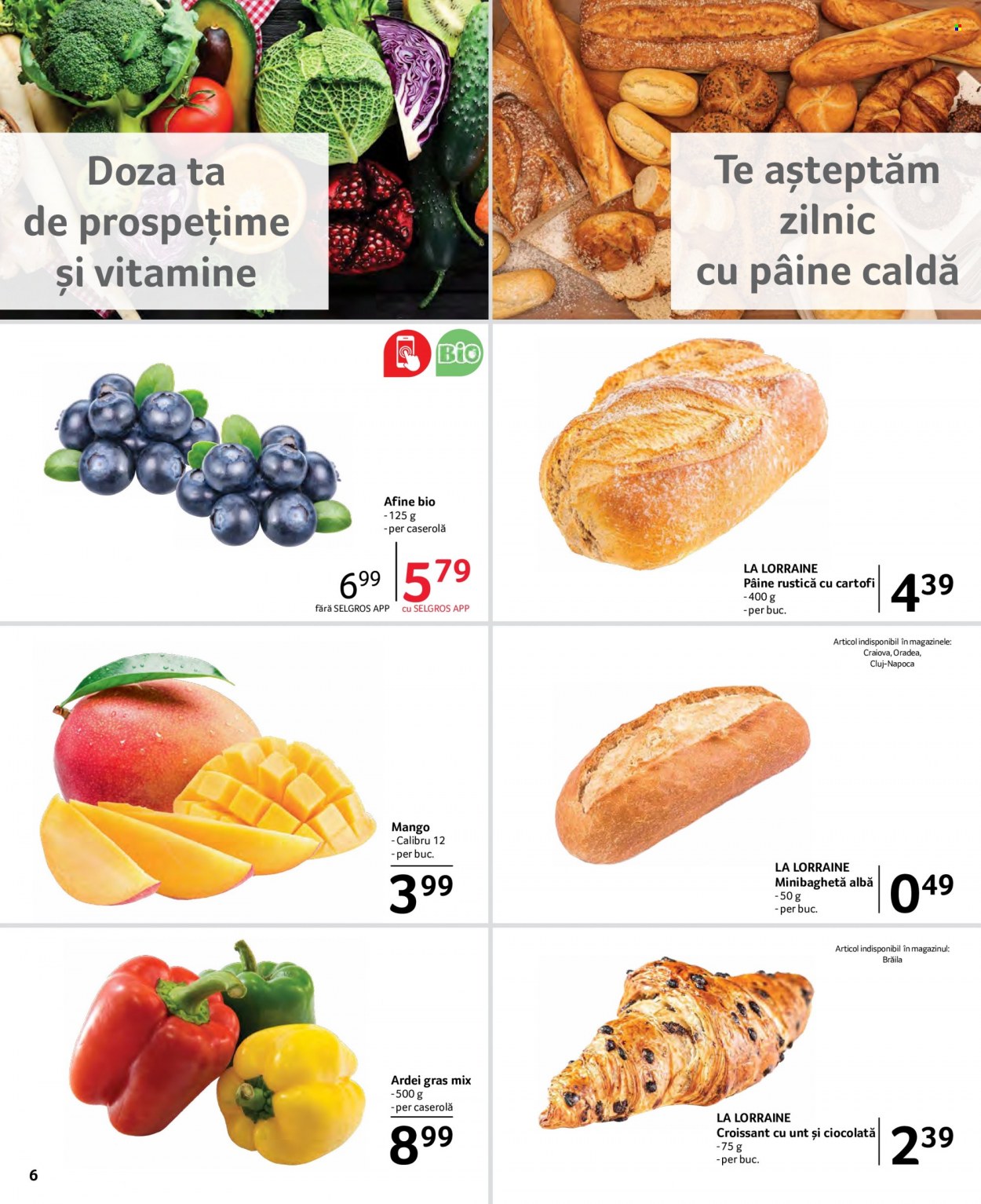 Catalog Selgros - 22.07.2022 - 04.08.2022. Pagina 6