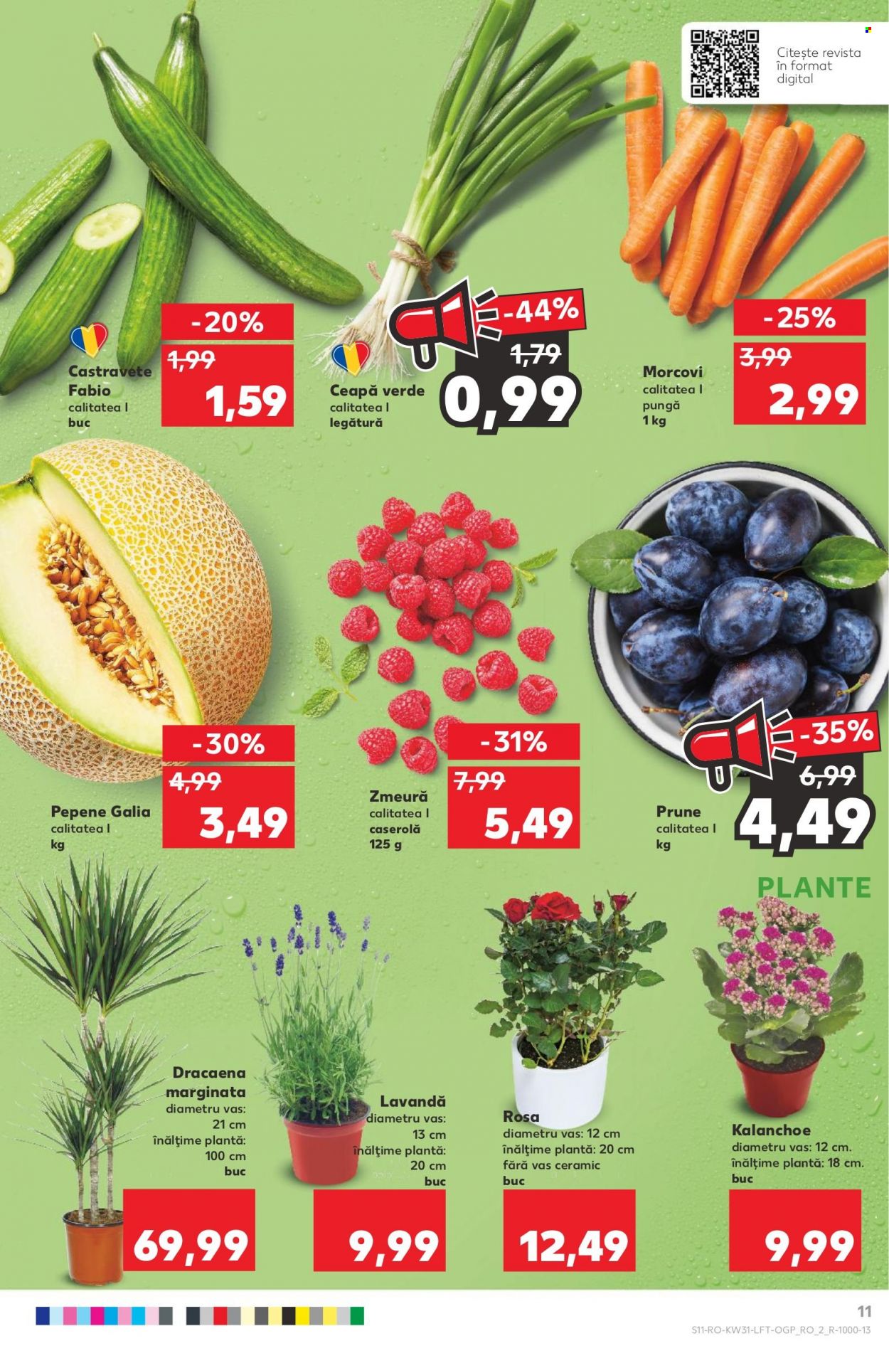 Catalog Kaufland - 03.08.2022 - 09.08.2022. Pagina 11