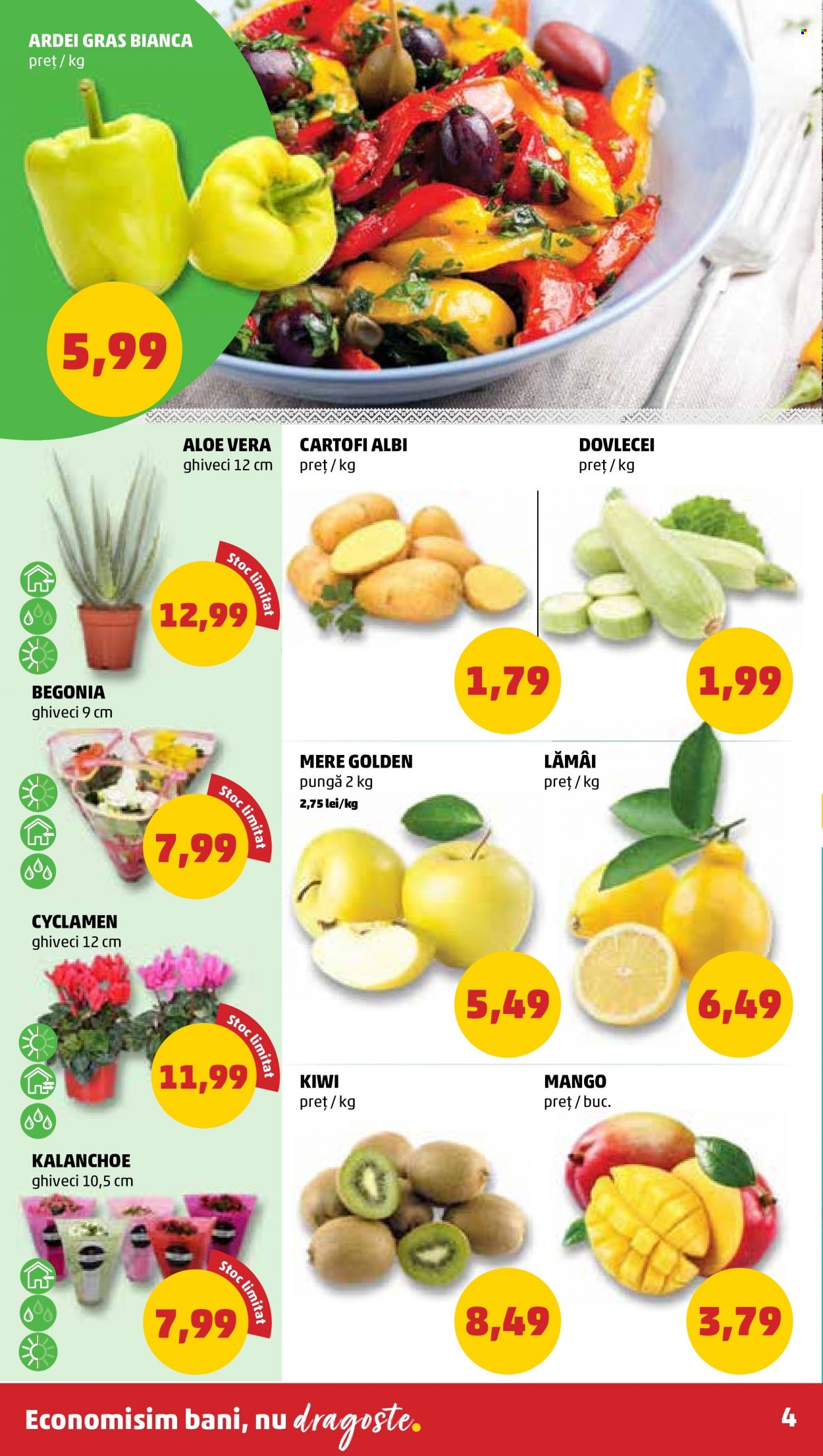 Catalog PENNY - 03.08.2022 - 09.08.2022. Pagina 4