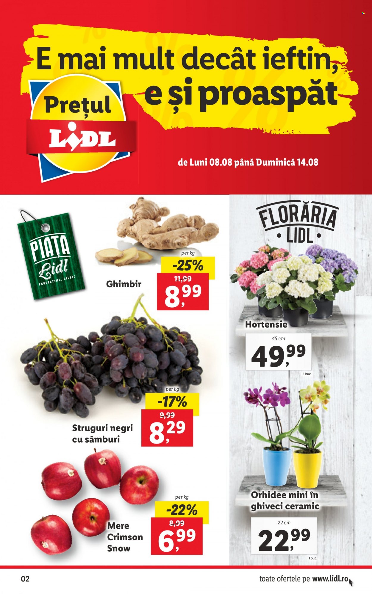 Catalog Lidl - 08.08.2022 - 14.08.2022. Pagina 2