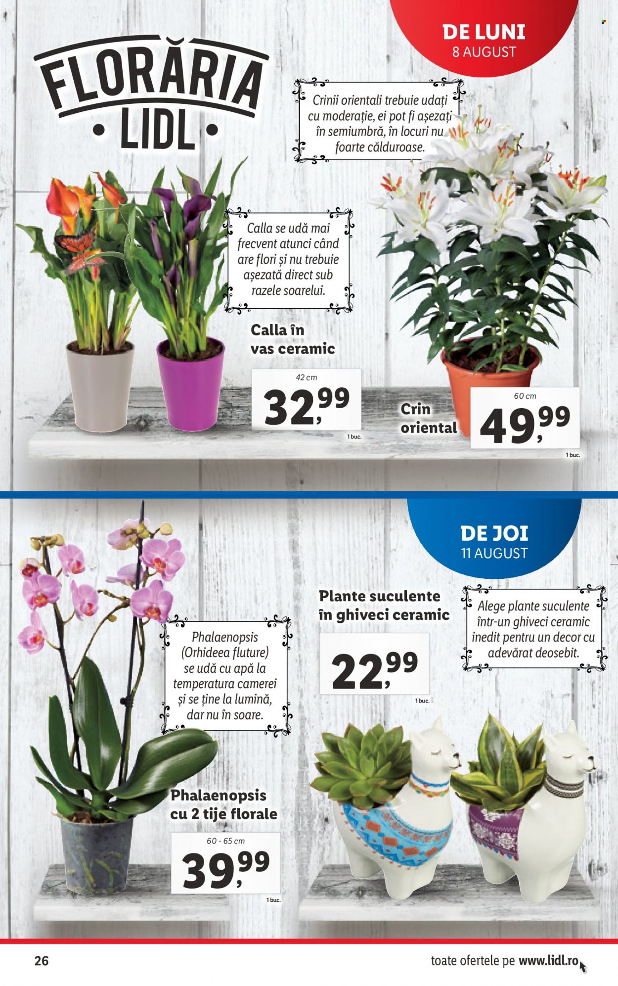 Catalog Lidl - 08.08.2022 - 14.08.2022. Pagina 26