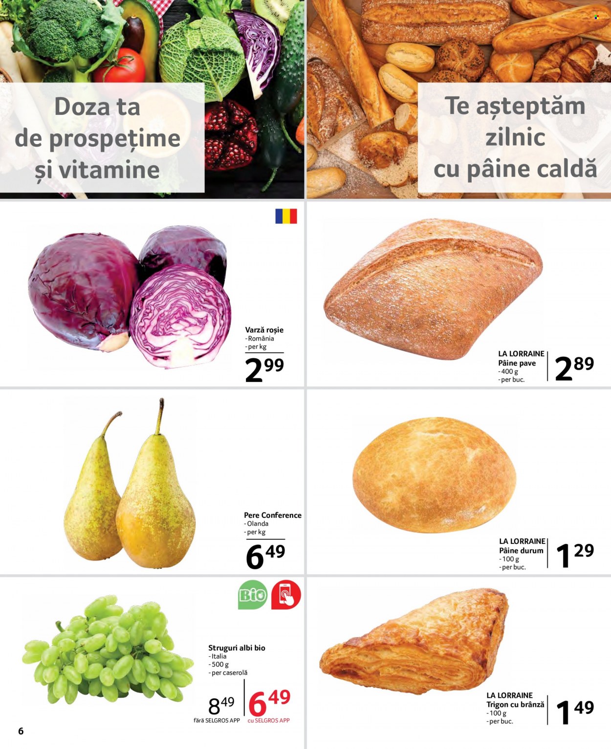 Catalog Selgros - 19.08.2022 - 01.09.2022. Pagina 6