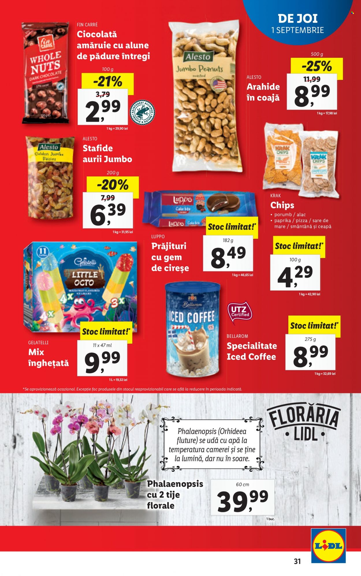 Catalog Lidl - 29.08.2022 - 04.09.2022. Pagina 31