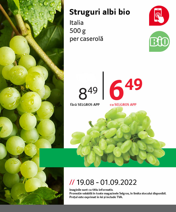 Catalog Selgros - 19.08.2022 - 01.09.2022. Pagina 19