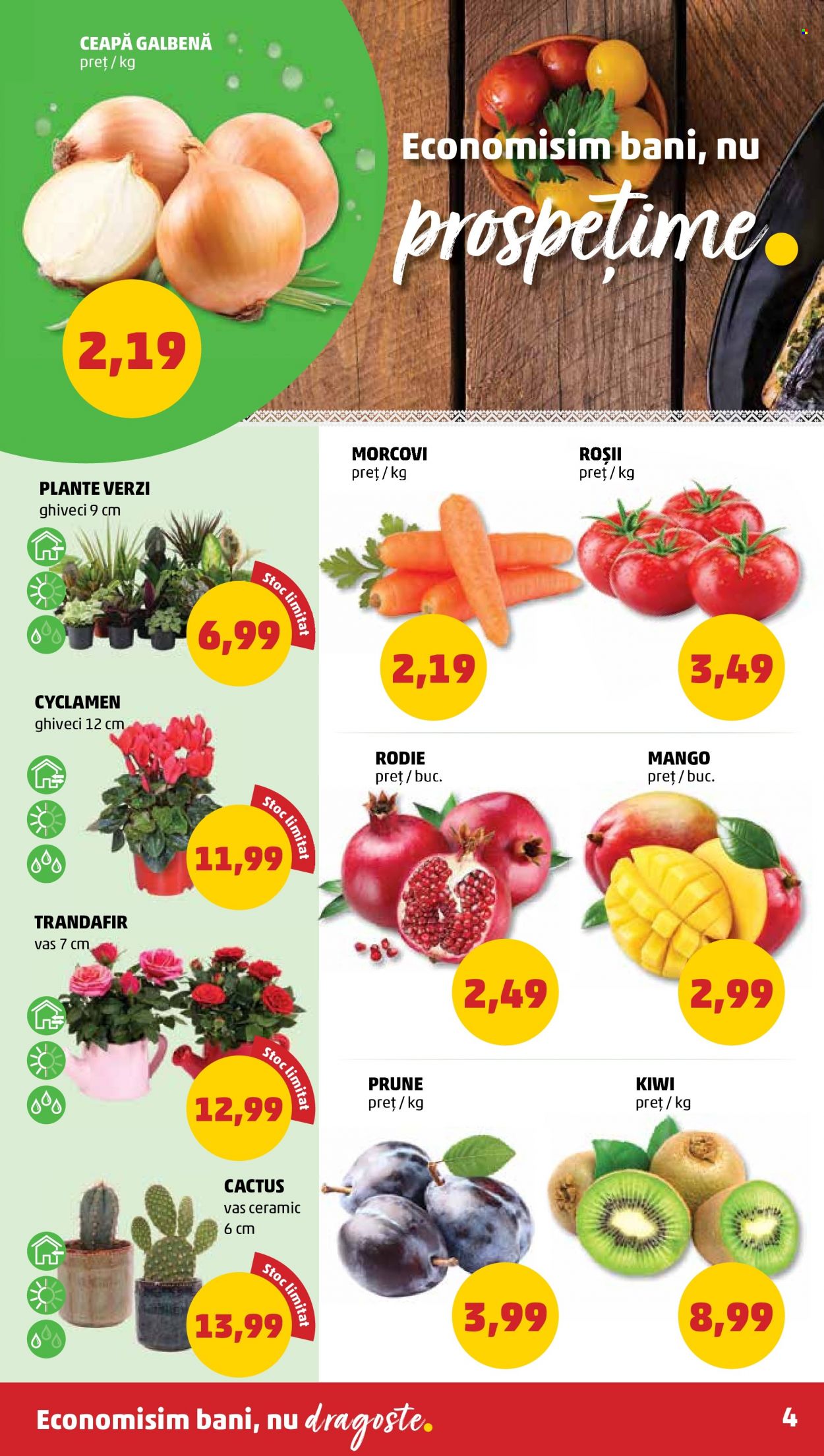 Catalog PENNY - 31.08.2022 - 06.09.2022. Pagina 4