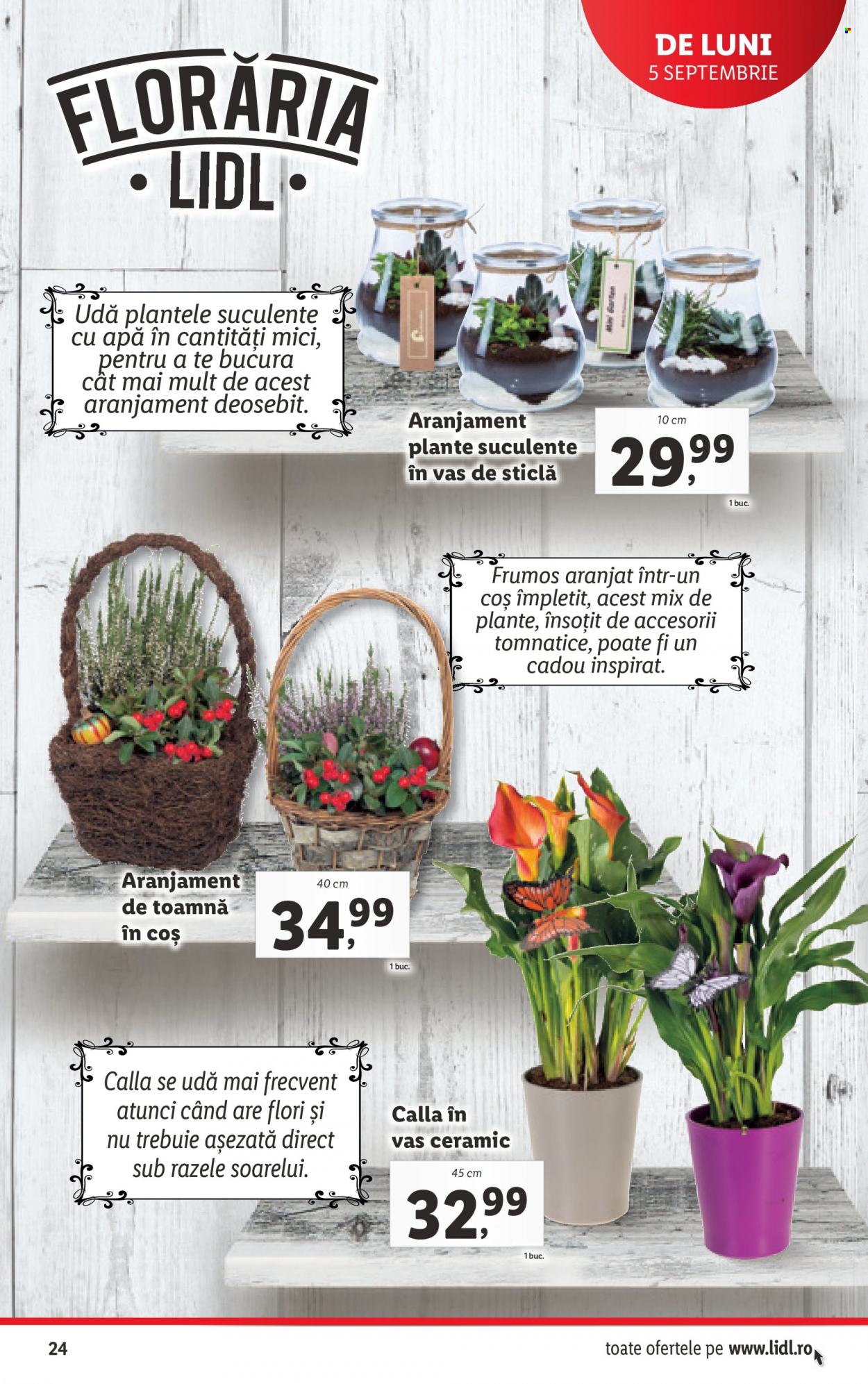 Catalog Lidl - 05.09.2022 - 11.09.2022. Pagina 24