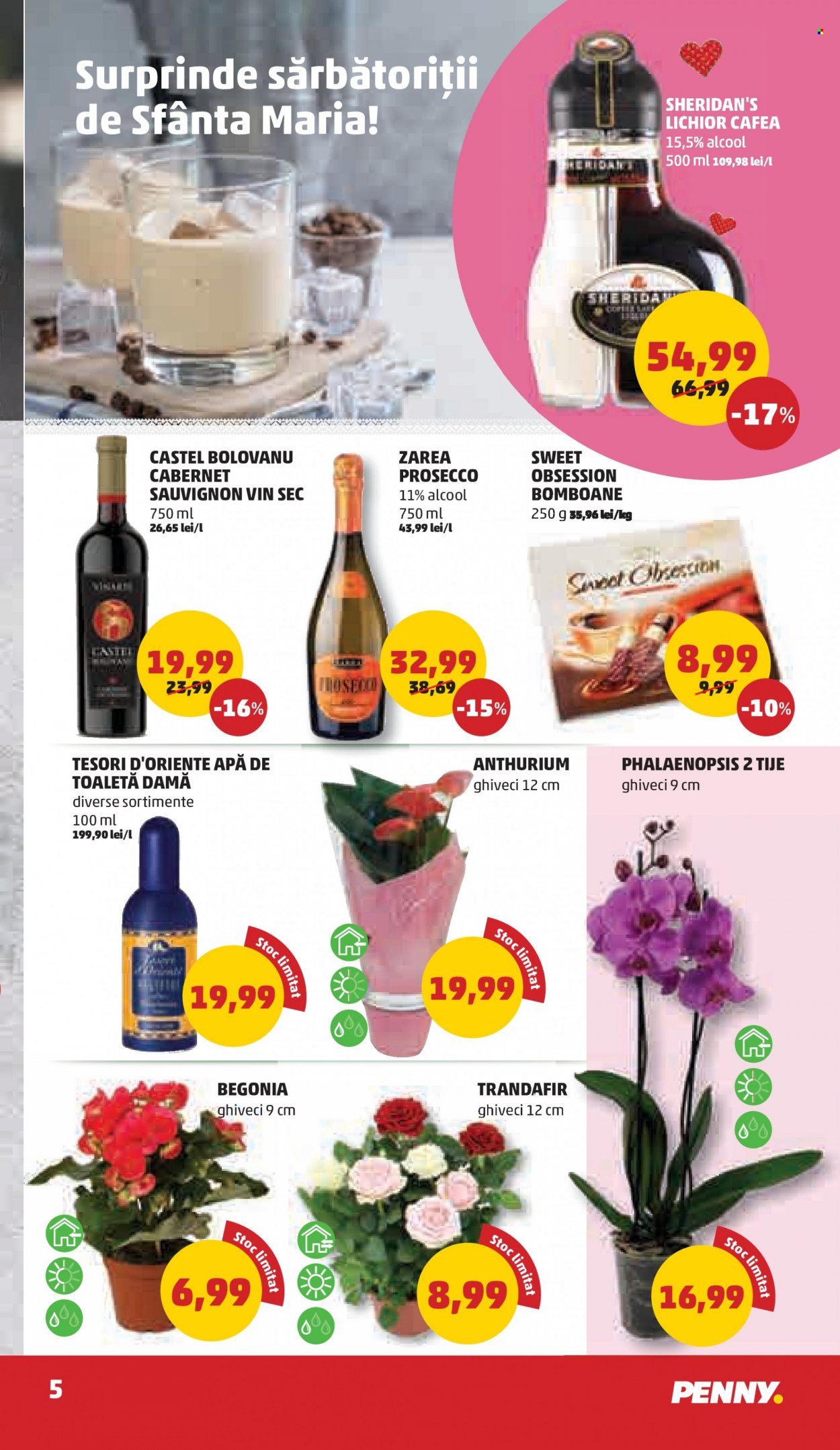 Catalog PENNY - 07.09.2022 - 13.09.2022. Pagina 5