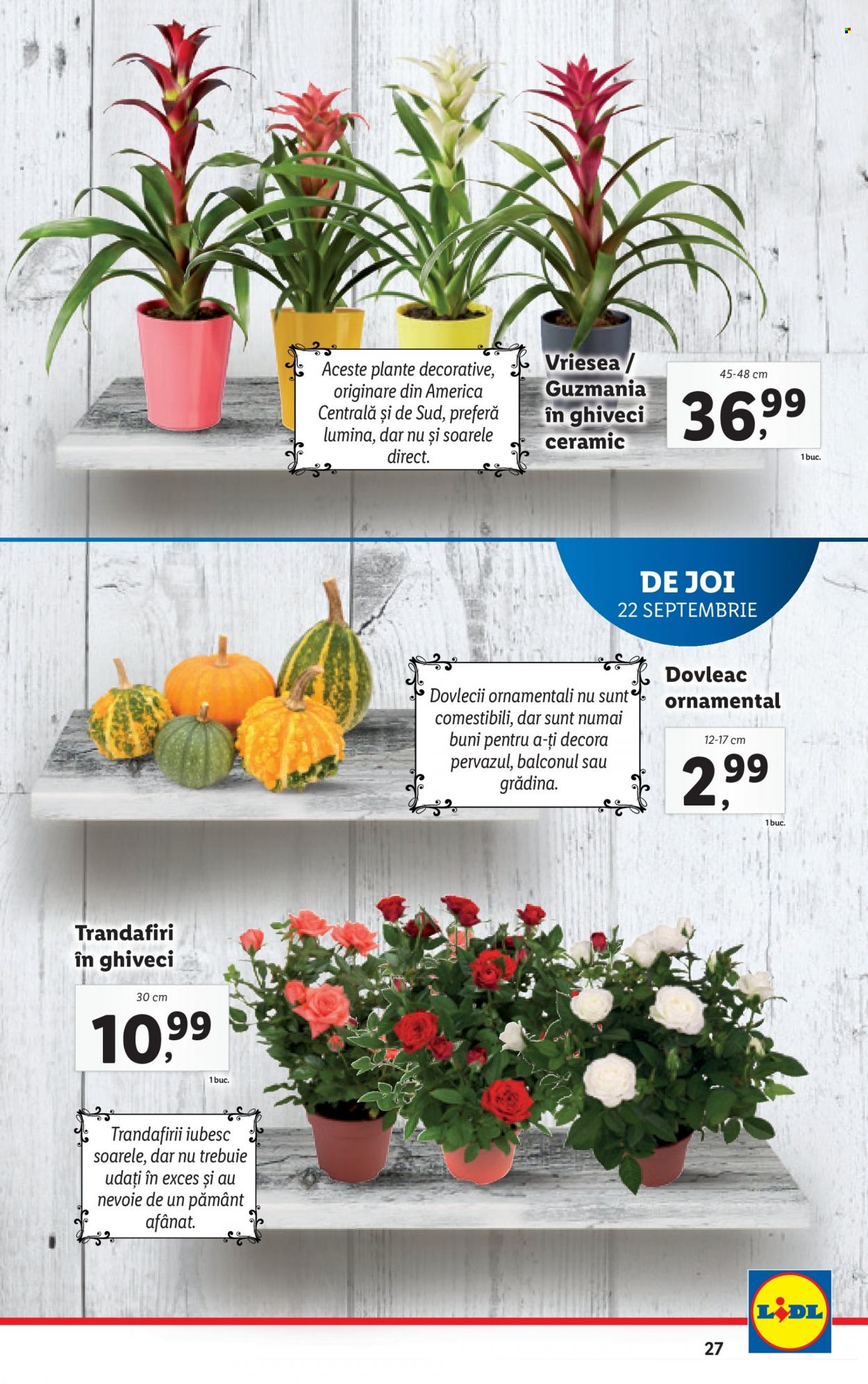 Catalog Lidl - 19.09.2022 - 25.09.2022. Pagina 27
