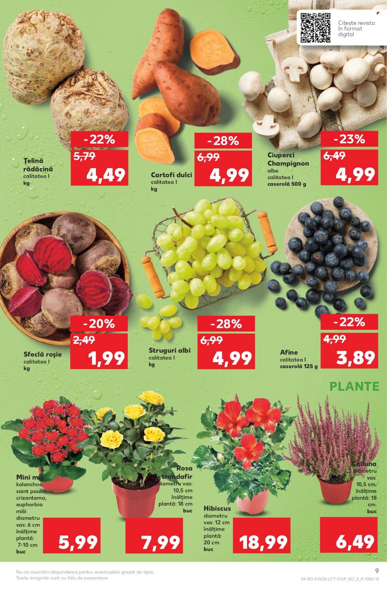 Catalog Kaufland - 21.09.2022 - 27.09.2022. Pagina 9
