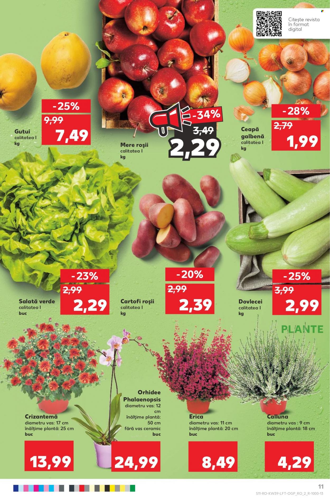 Catalog Kaufland - 28.09.2022 - 04.10.2022. Pagina 11