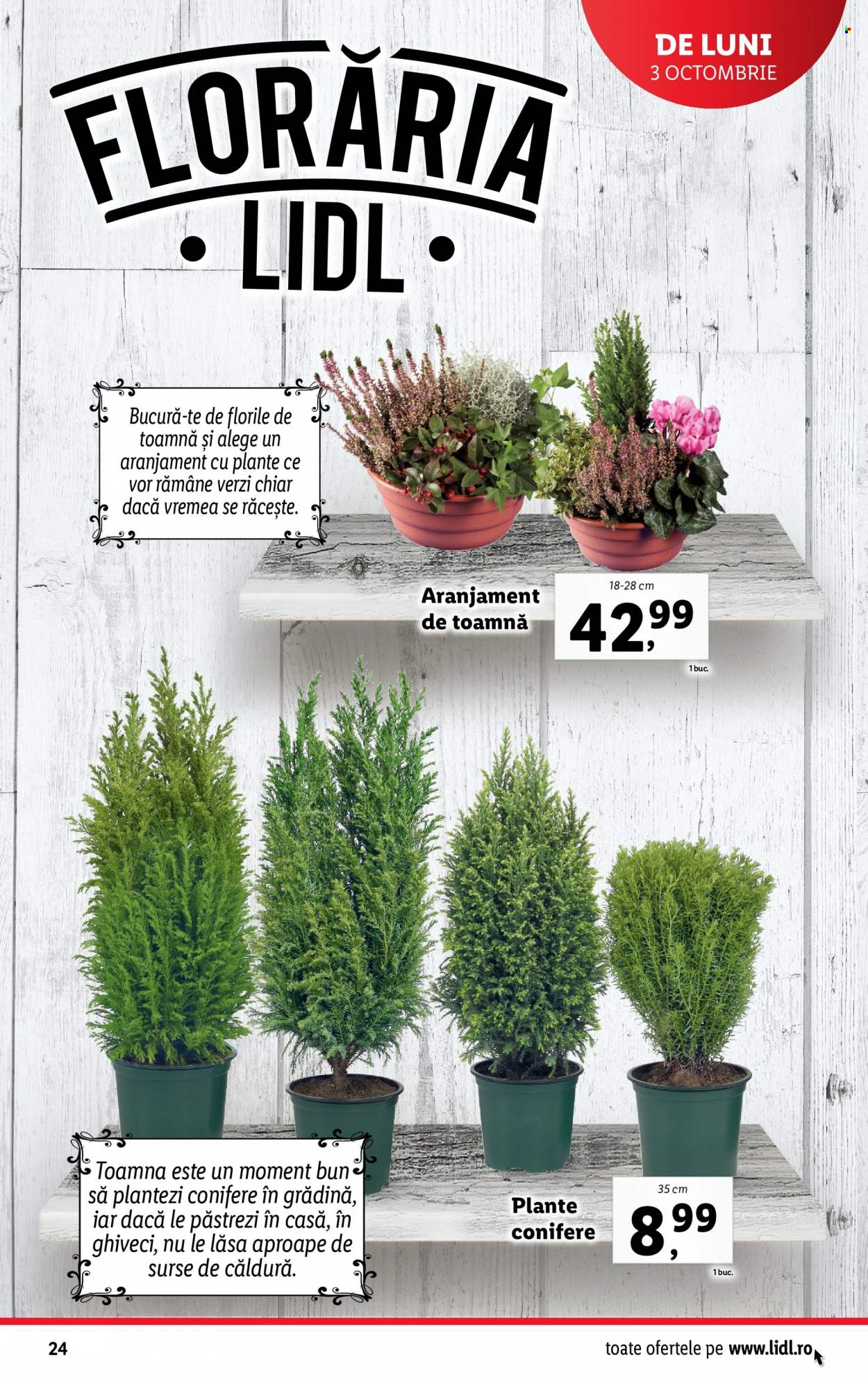 Catalog Lidl - 03.10.2022 - 09.10.2022. Pagina 24