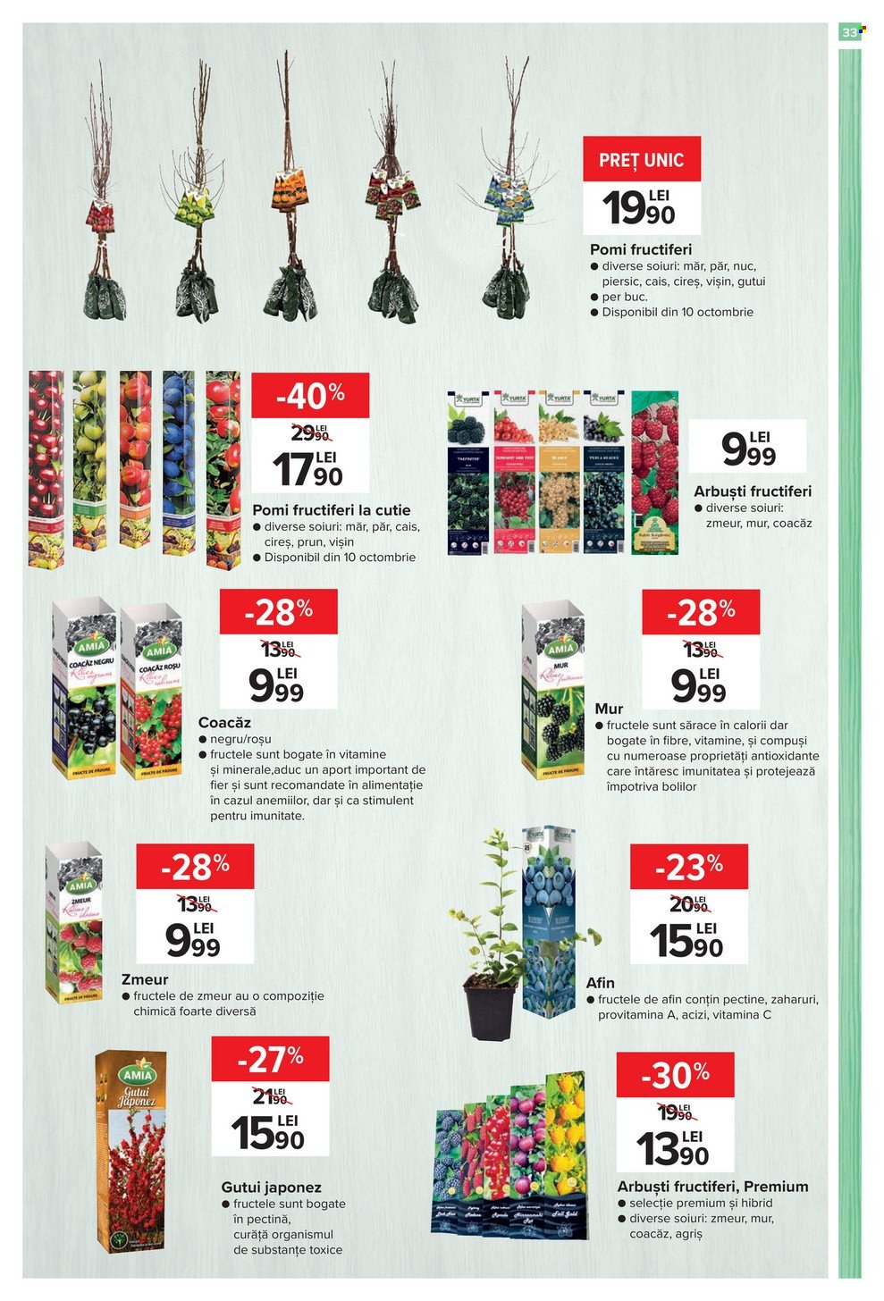 Catalog Carrefour - 29.09.2022 - 02.11.2022. Pagina 33