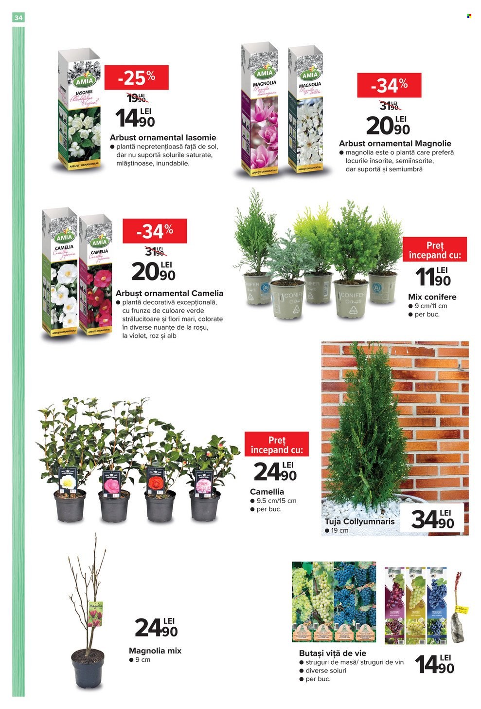 Catalog Carrefour - 29.09.2022 - 02.11.2022. Pagina 34