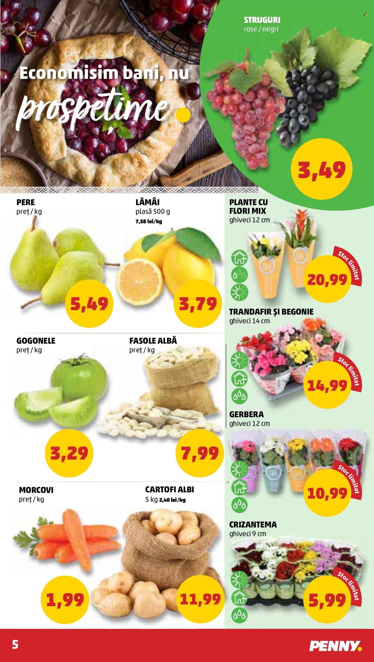 Catalog PENNY - 05.10.2022 - 11.10.2022. Pagina 5