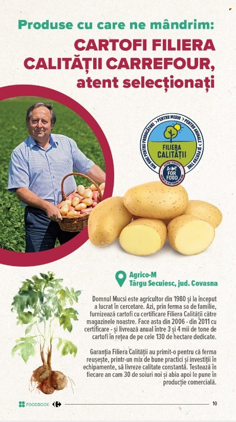Catalog Carrefour - 06.10.2022 - 12.10.2022. Pagina 10