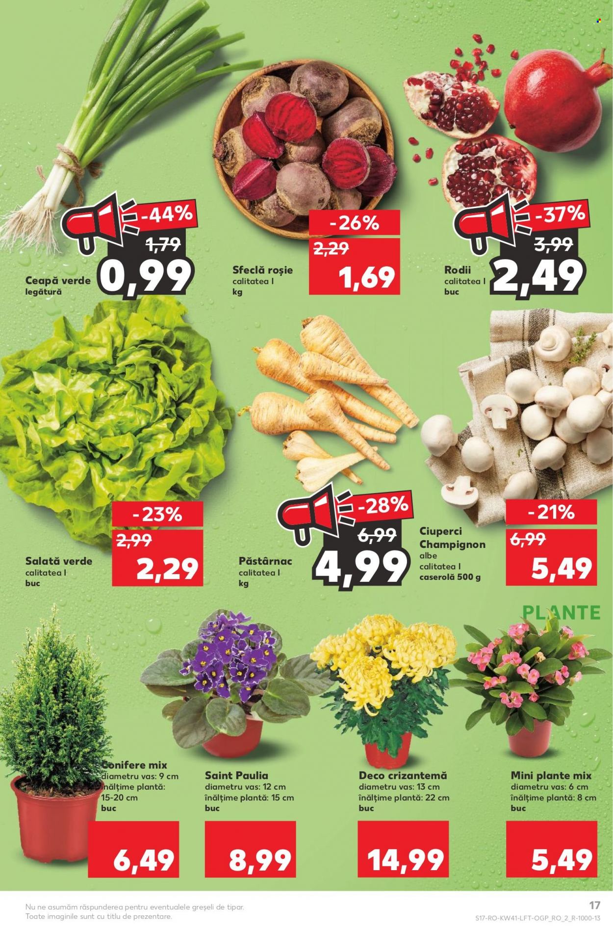 Catalog Kaufland - 12.10.2022 - 18.10.2022. Pagina 17