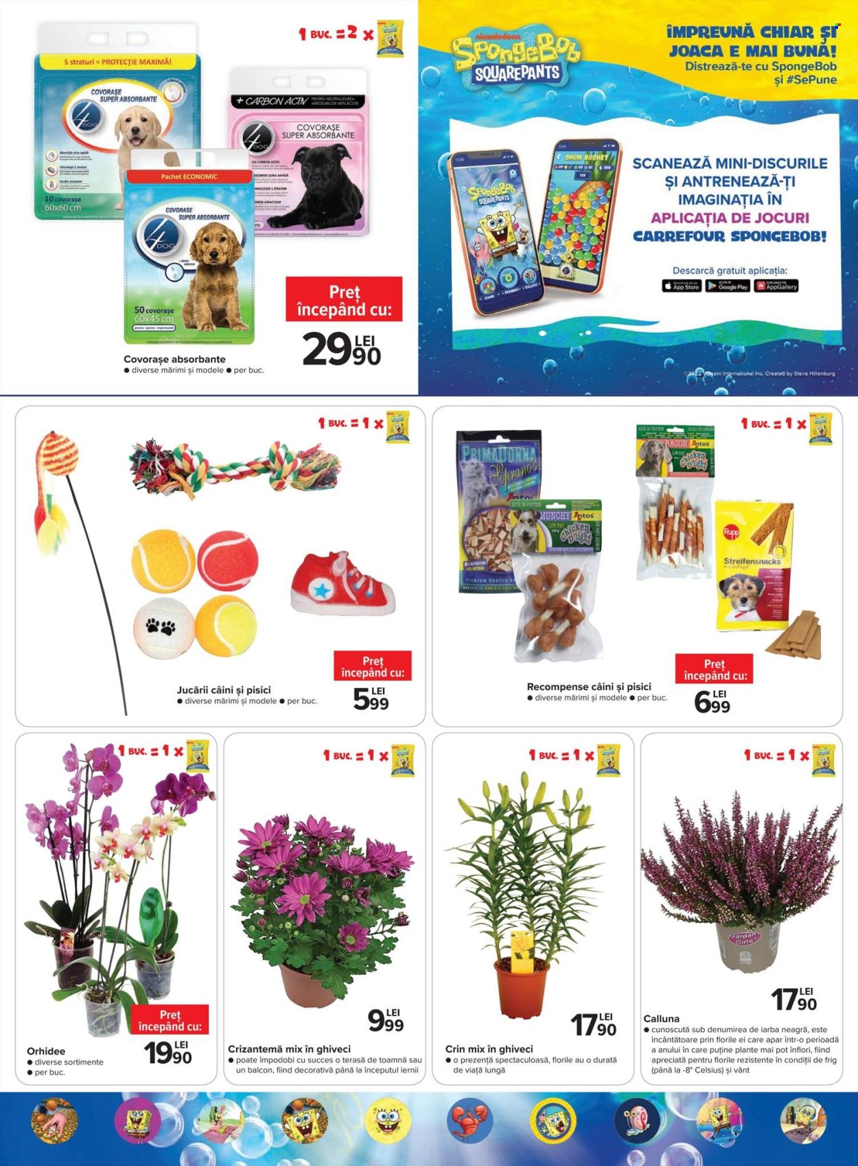 Catalog Carrefour - 13.10.2022 - 26.10.2022. Pagina 15