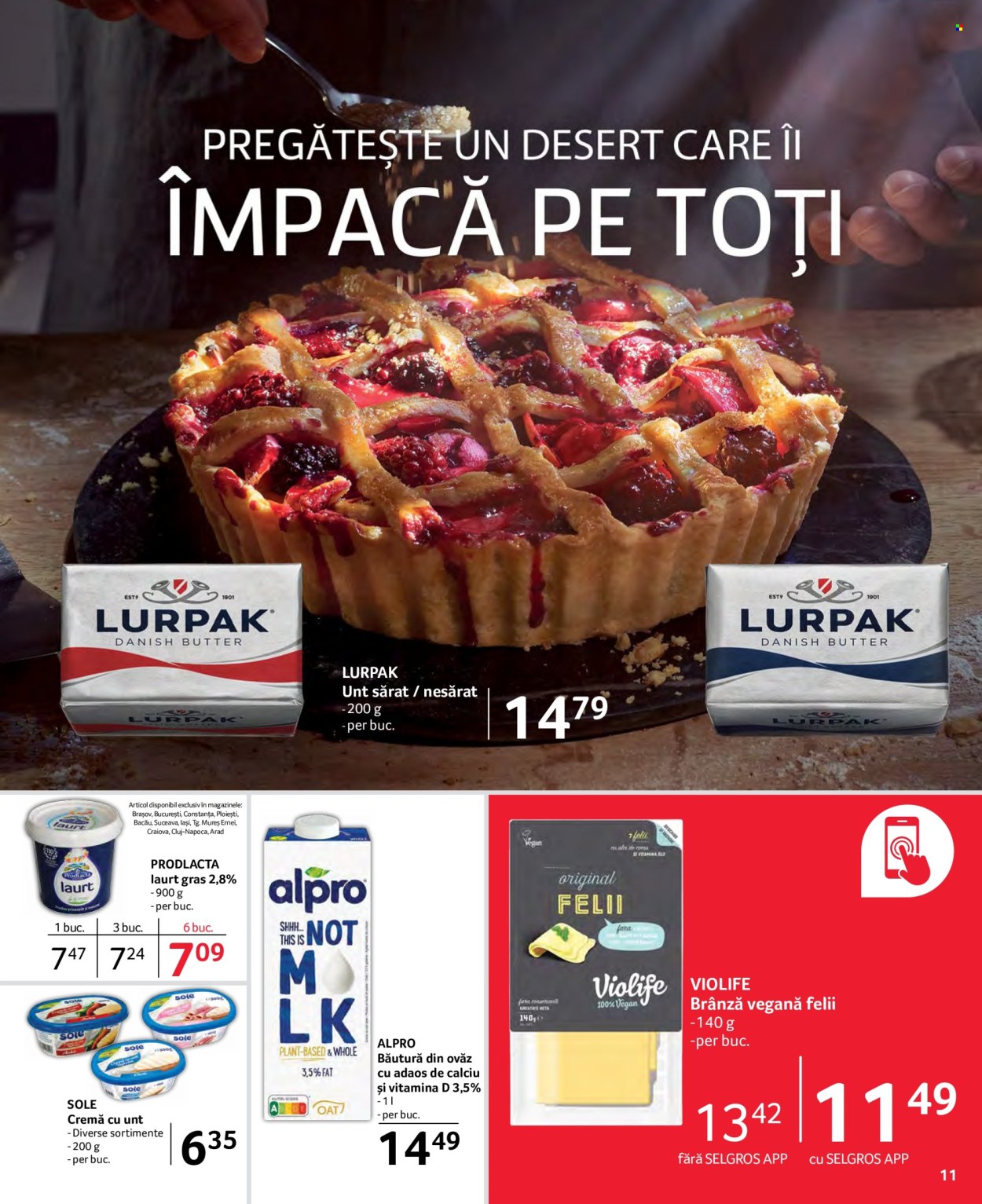 Catalog Selgros - 14.10.2022 - 27.10.2022. Pagina 11