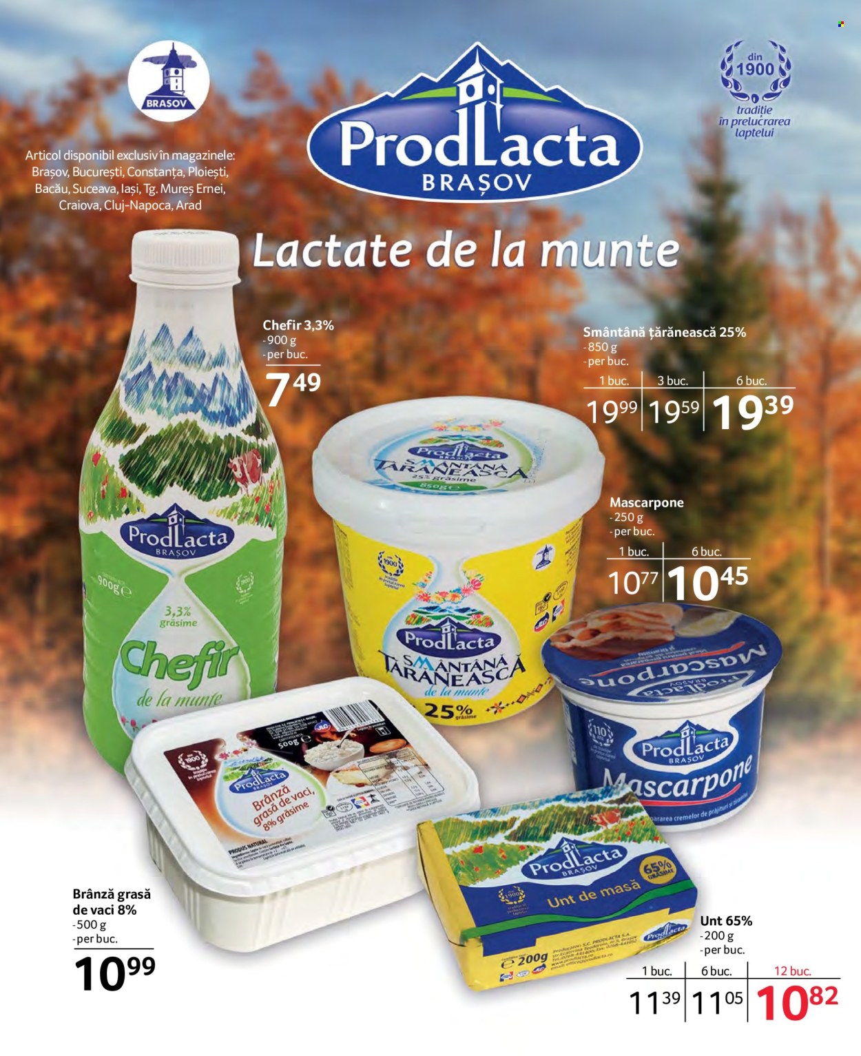 Catalog Selgros - 14.10.2022 - 27.10.2022. Pagina 13