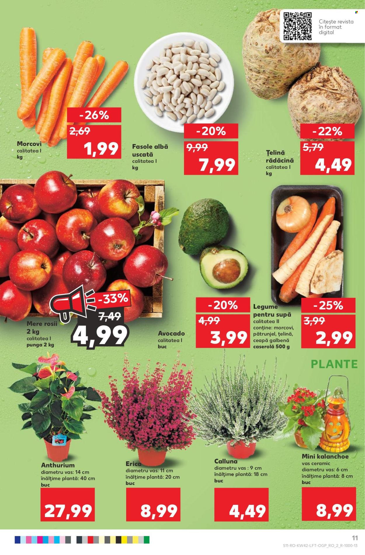 Catalog Kaufland - 19.10.2022 - 25.10.2022. Pagina 11