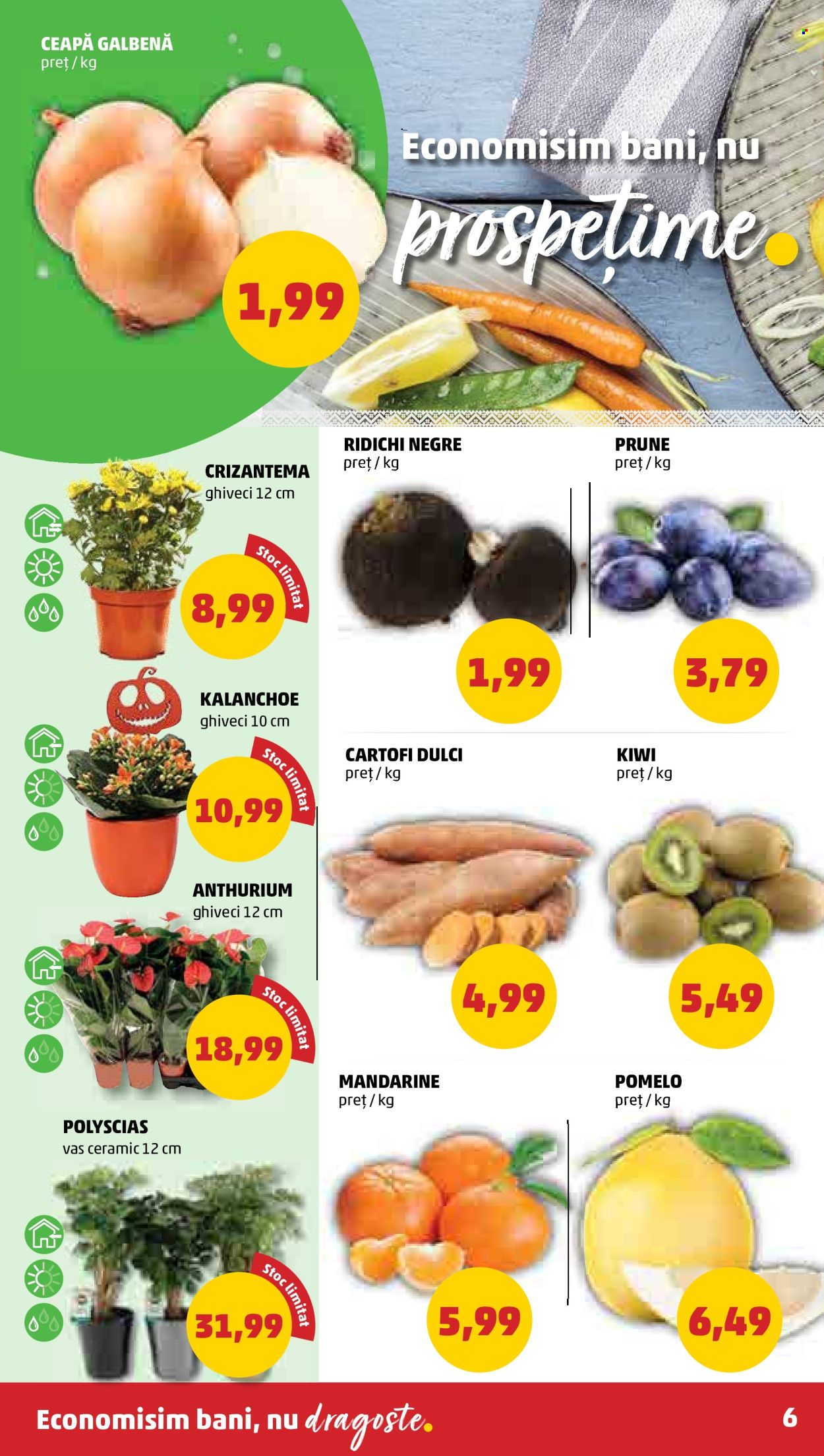 Catalog PENNY - 19.10.2022 - 25.10.2022. Pagina 6