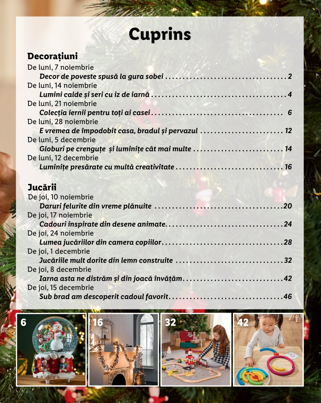 Catalog Lidl. Pagina 3