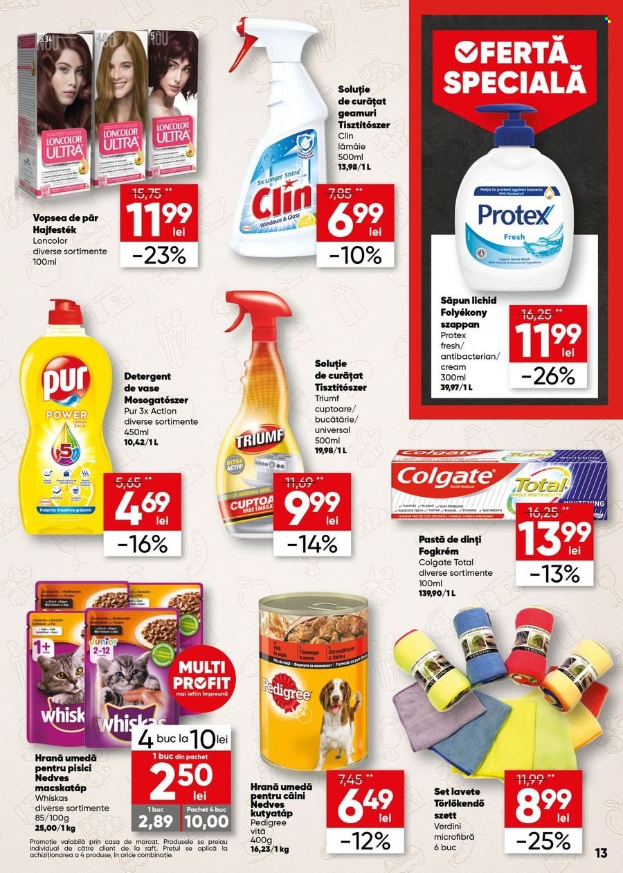 Catalog Profi - 19.10.2022 - 01.11.2022. Pagina 13