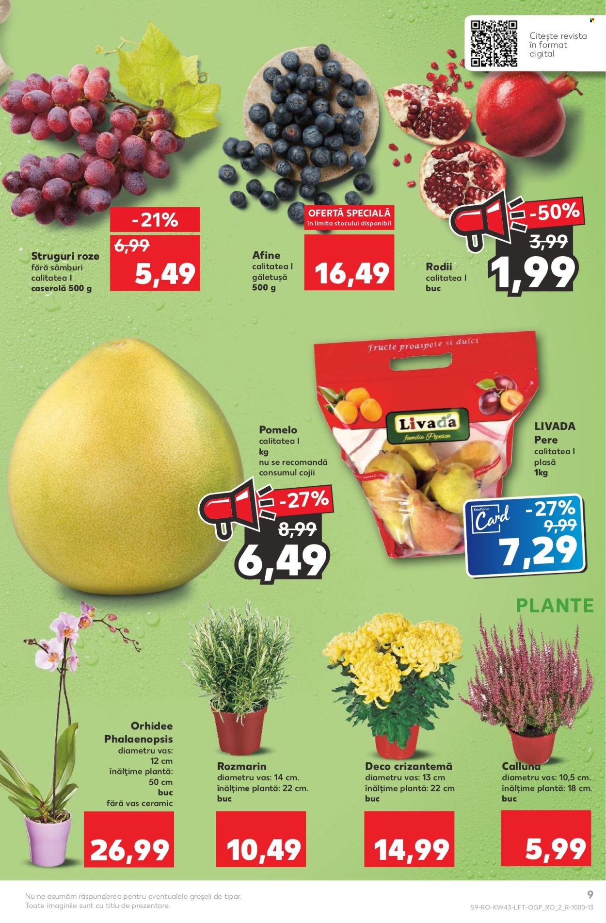 Catalog Kaufland - 26.10.2022 - 01.11.2022. Pagina 9