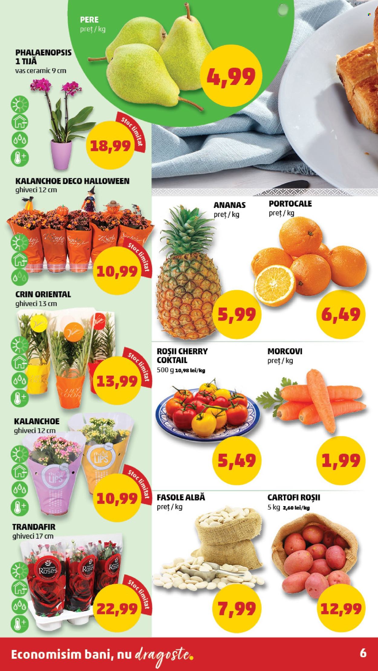 Catalog PENNY - 26.10.2022 - 01.11.2022. Pagina 6