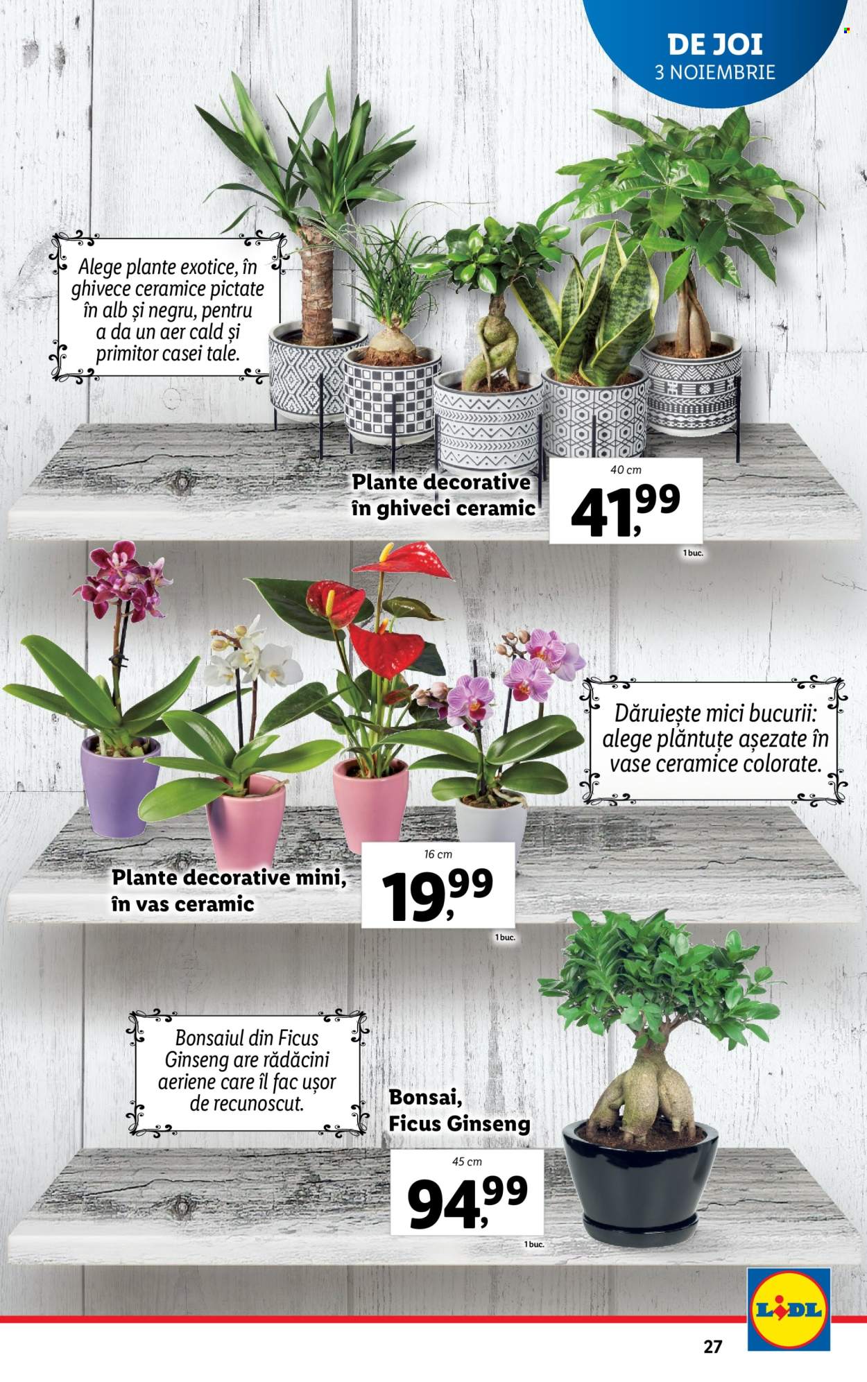 Catalog Lidl - 31.10.2022 - 06.11.2022. Pagina 27